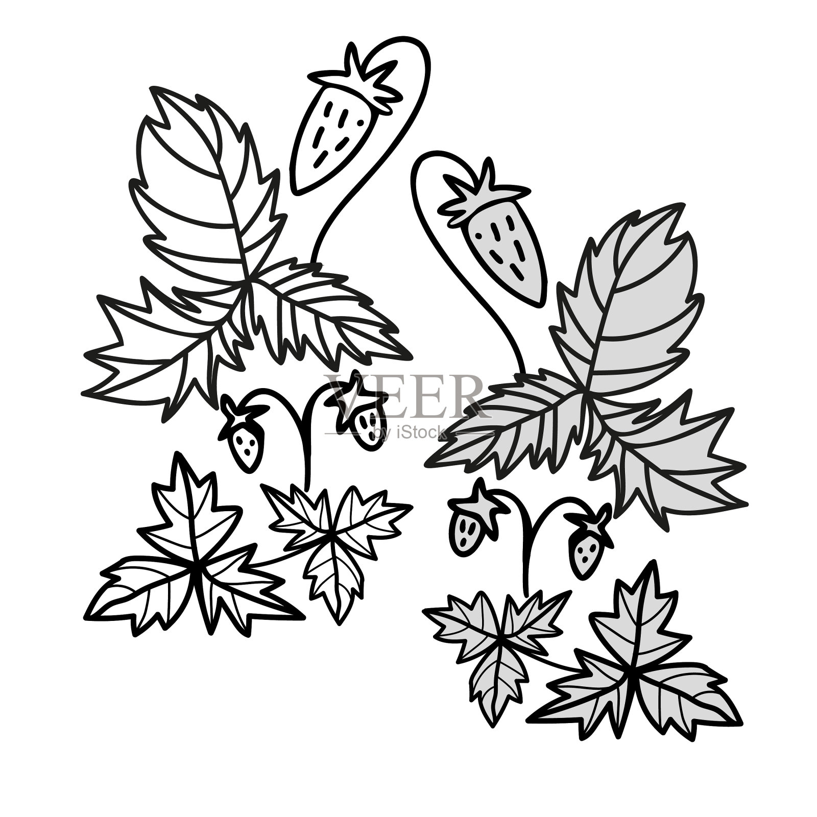 独立的装饰黑白设计插画图片素材