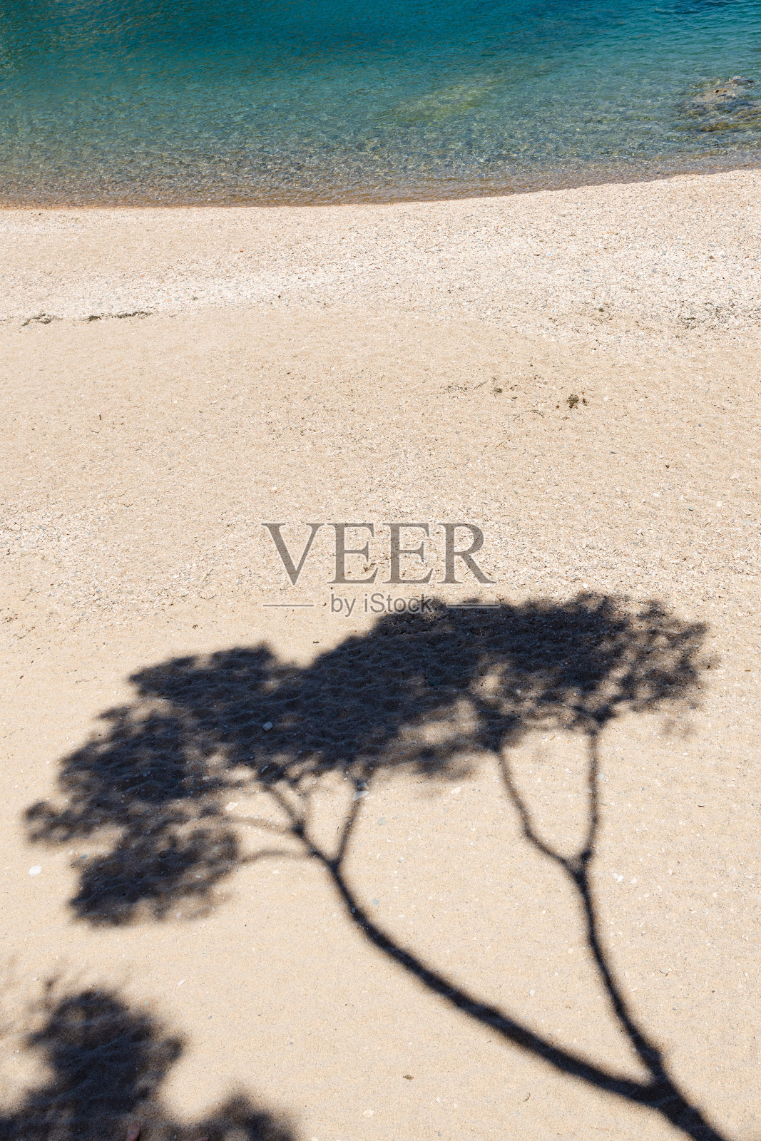 在西班牙布拉瓦海岸的塔马里乌,松林的阴影与水晶蓝色的海水在沙滩上照片摄影图片