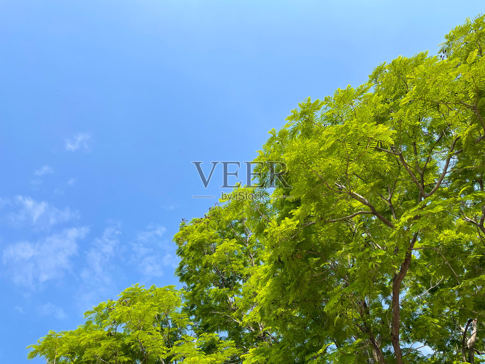 邀请你放松的自然照片。照片摄影图片