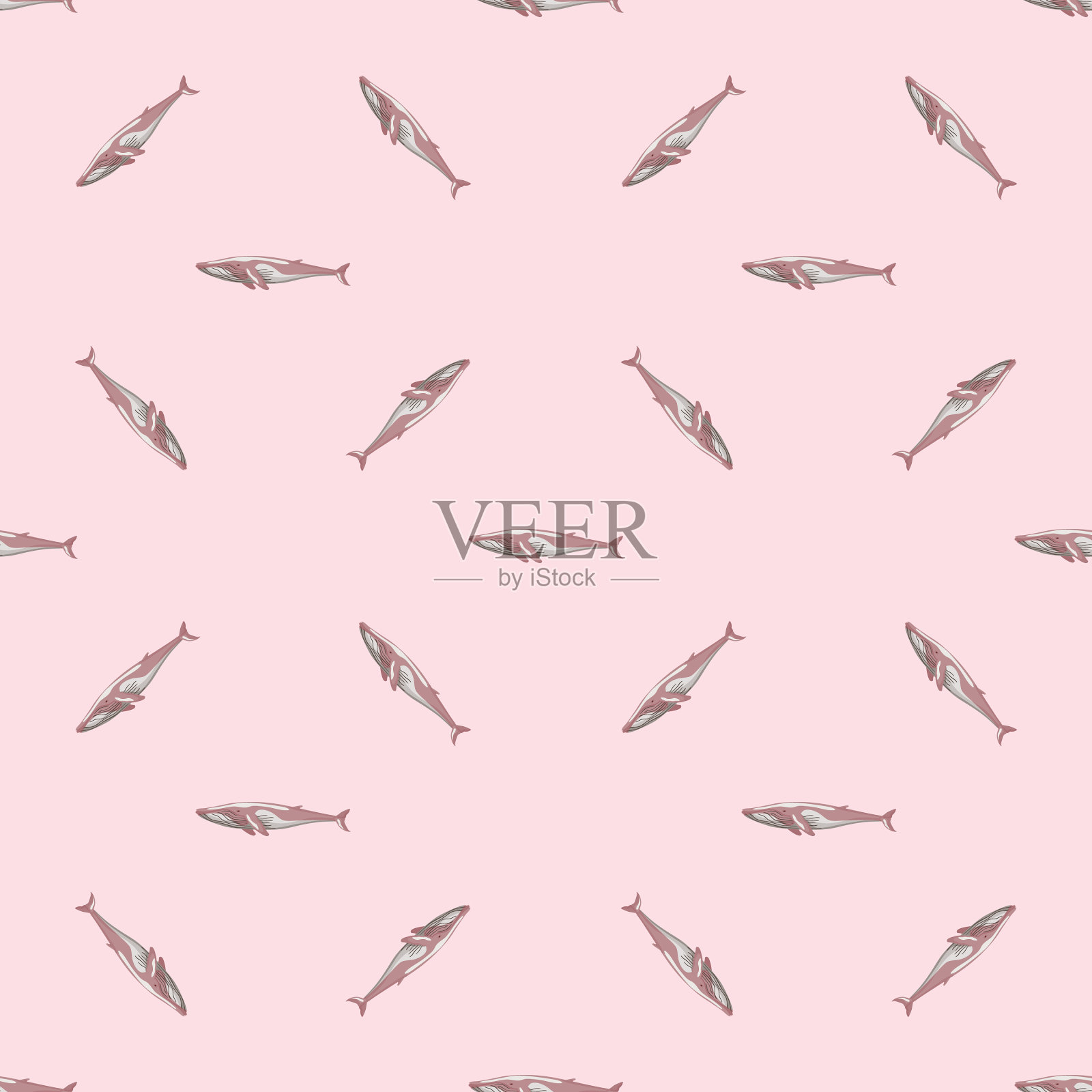 无缝模式鳍鲸在粉红色的背景插画图片素材