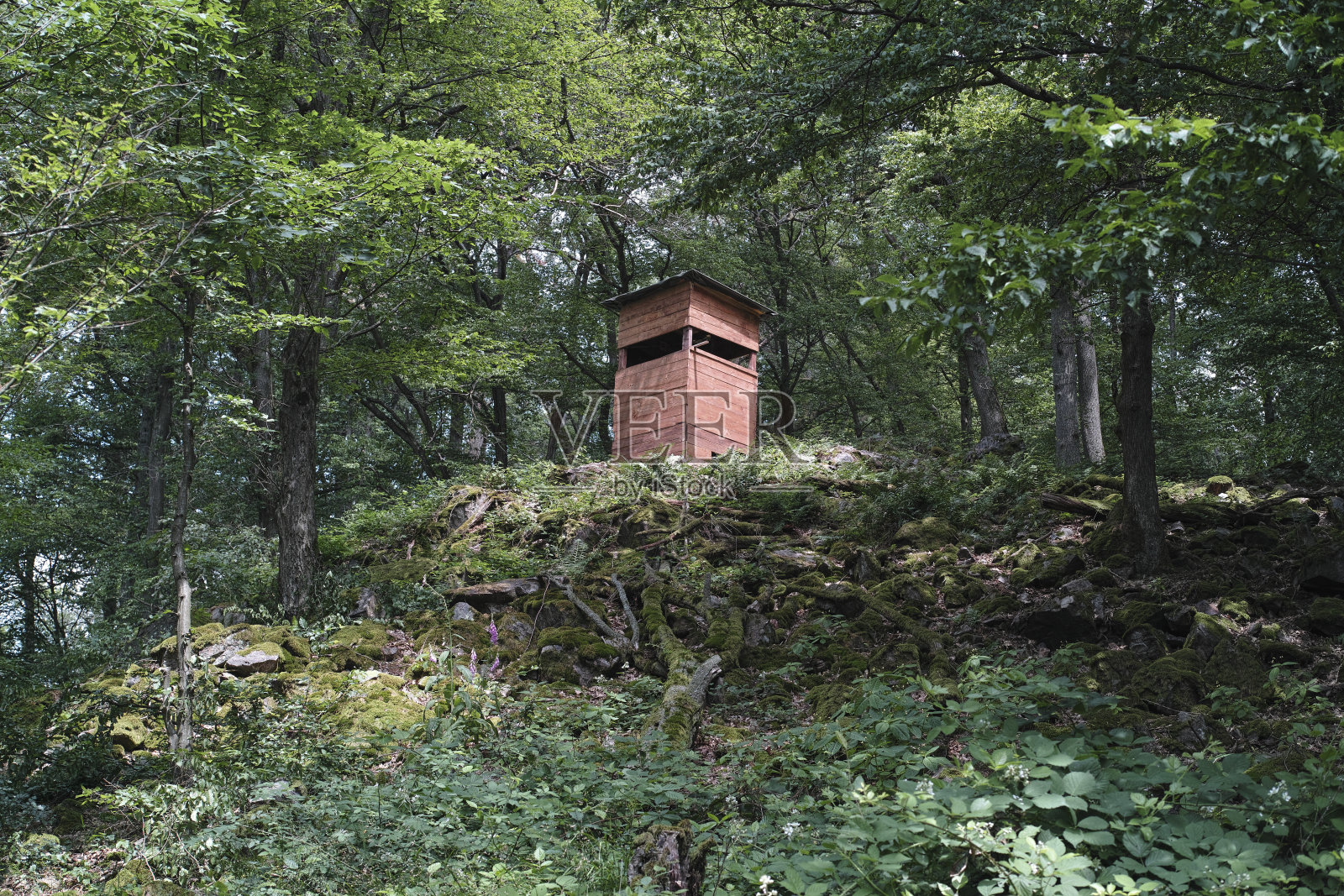 猎人站在森林里照片摄影图片