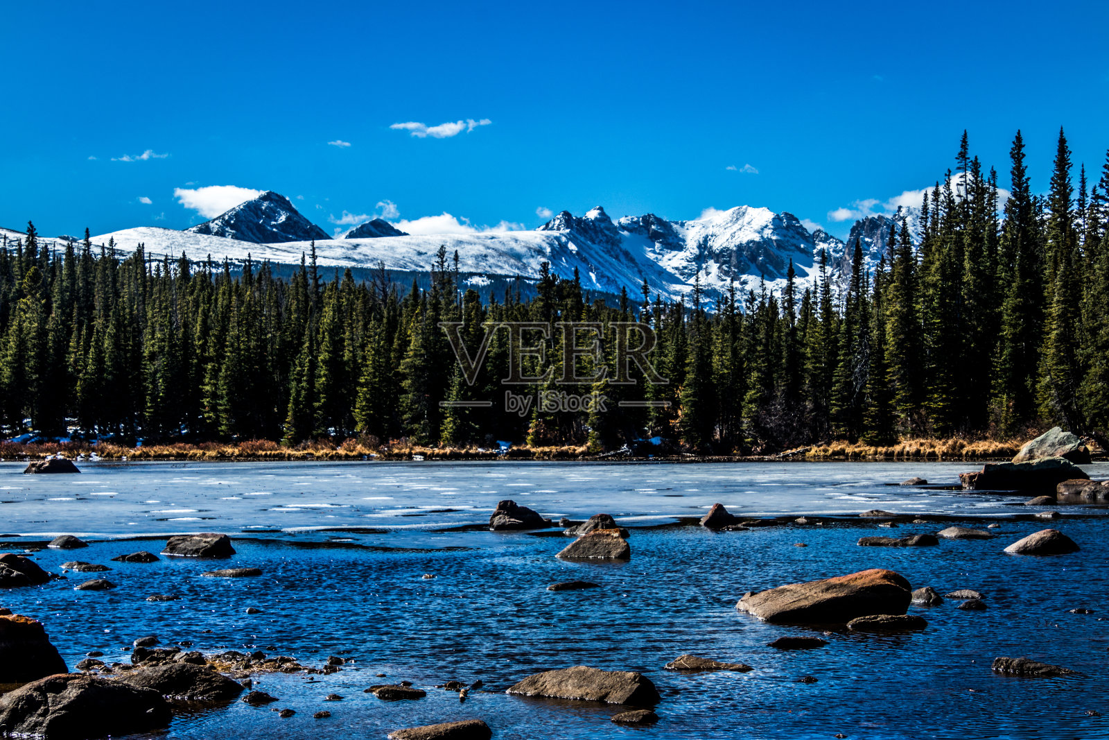 冬天,科罗拉多湖附近的雪山和松树照片摄影图片