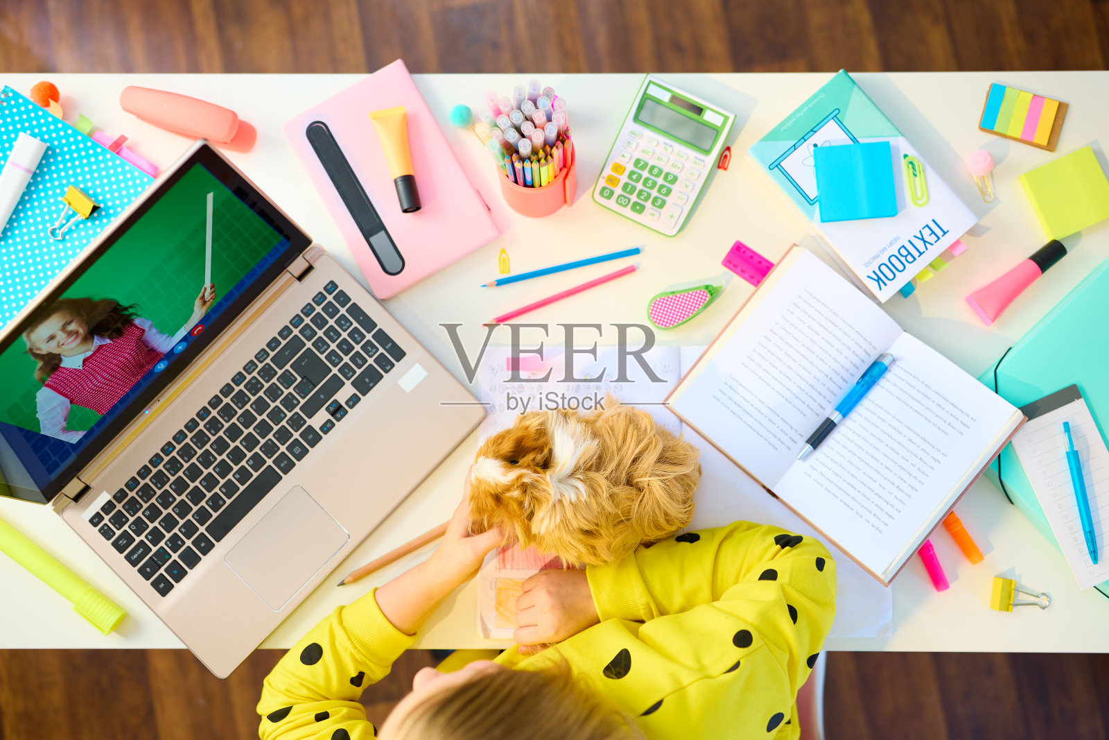 学生在餐桌上在家自学和视频通话照片摄影图片