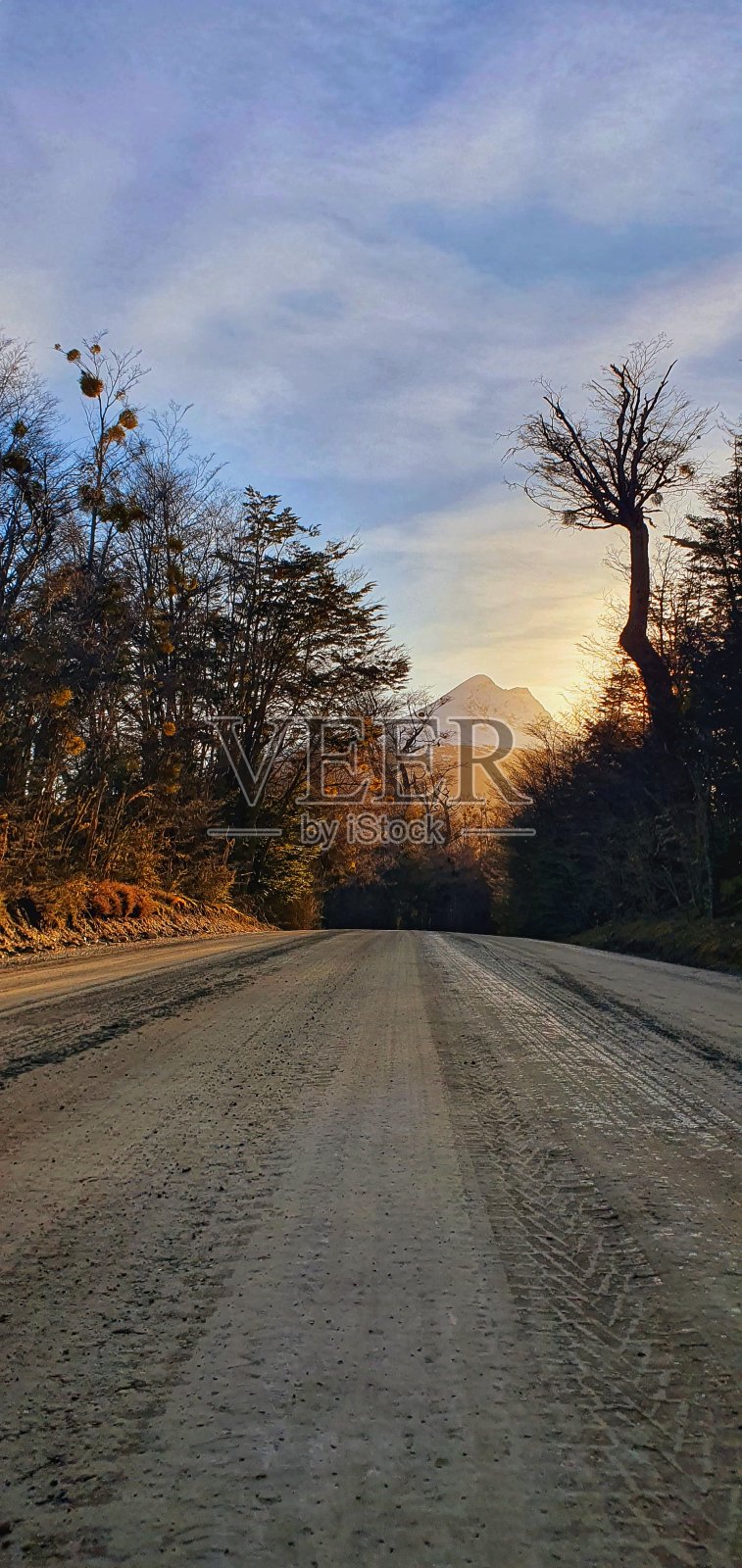 太阳光照片摄影图片