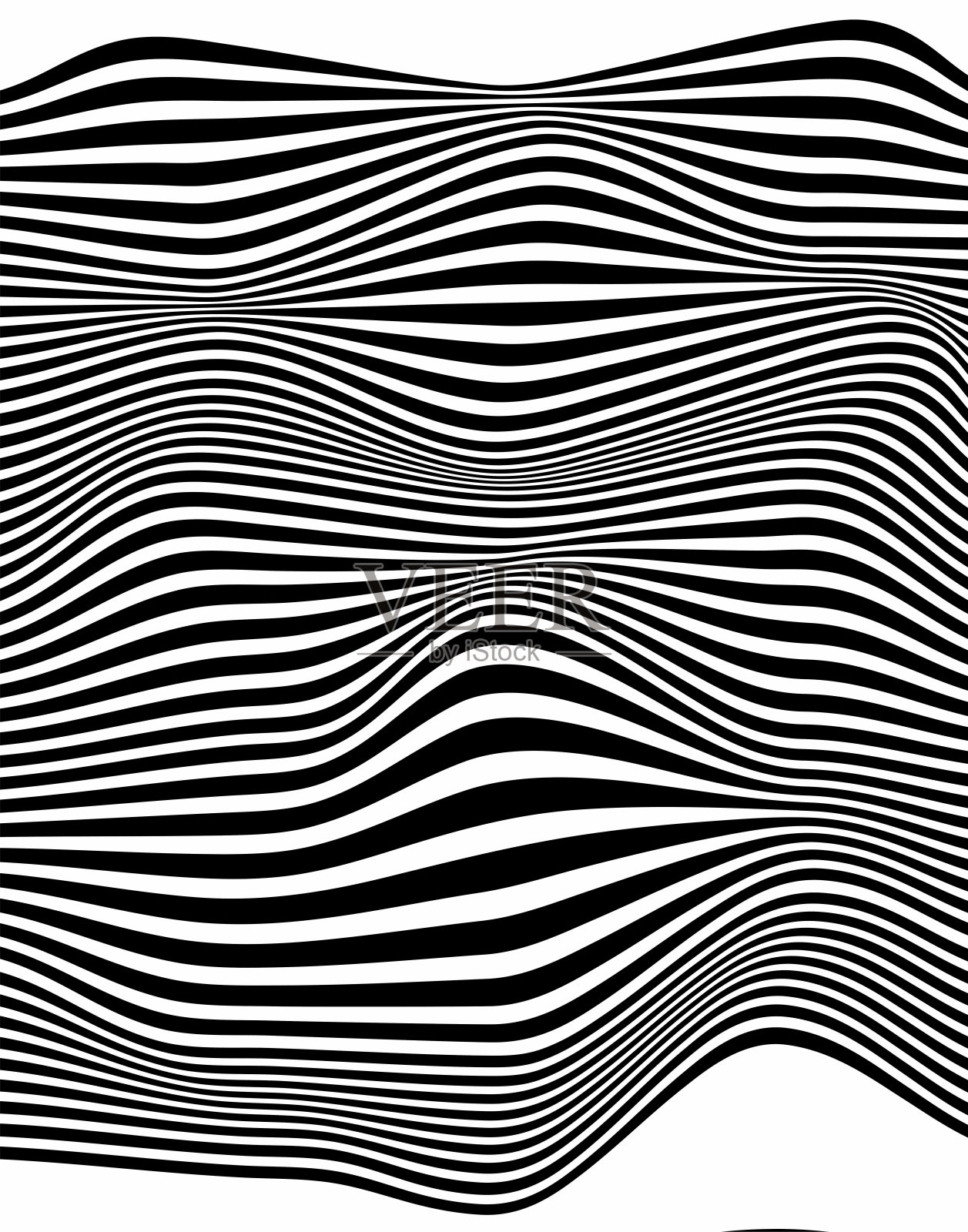 抽象的波纹或黑色线条图案与波浪鲜明的制作在白色的背景和纹理。海报设计。矢量插图。插画图片素材