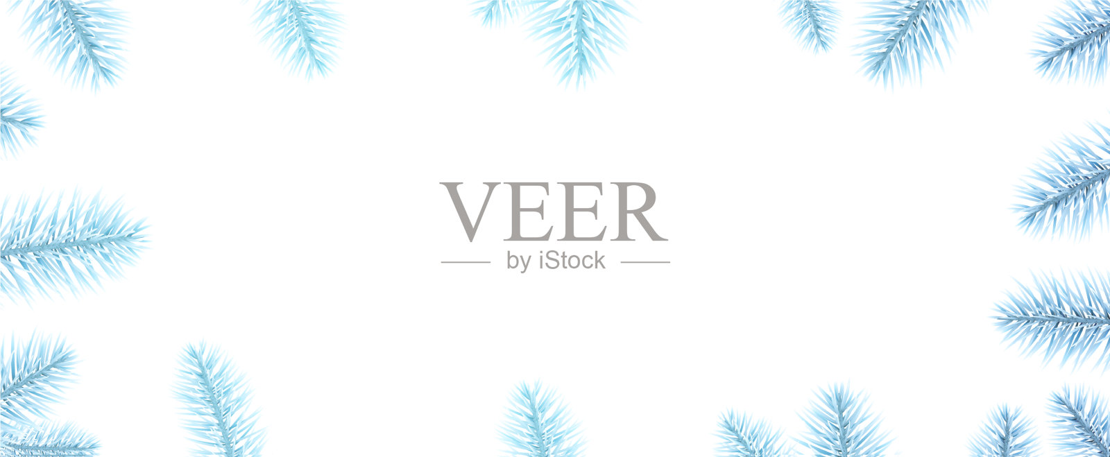 浅蓝色云杉树枝框架插画图片素材