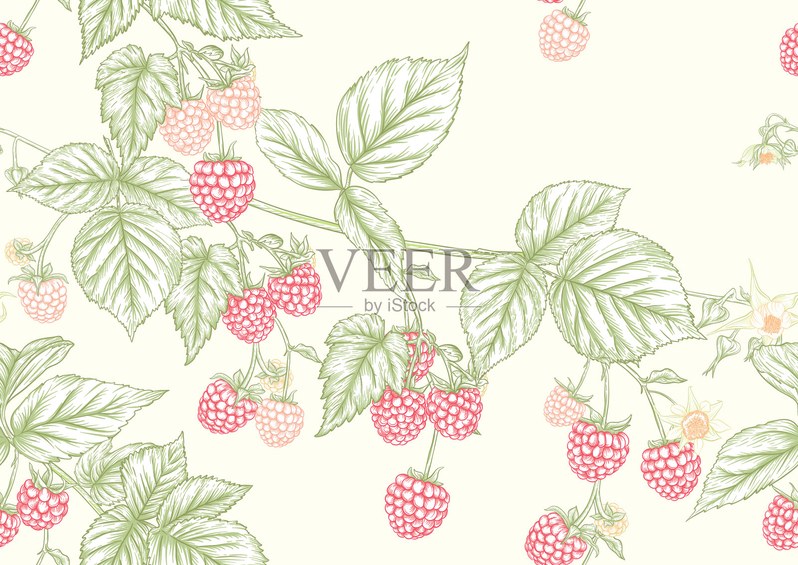 玛莉娜拍 3 zz插画图片素材