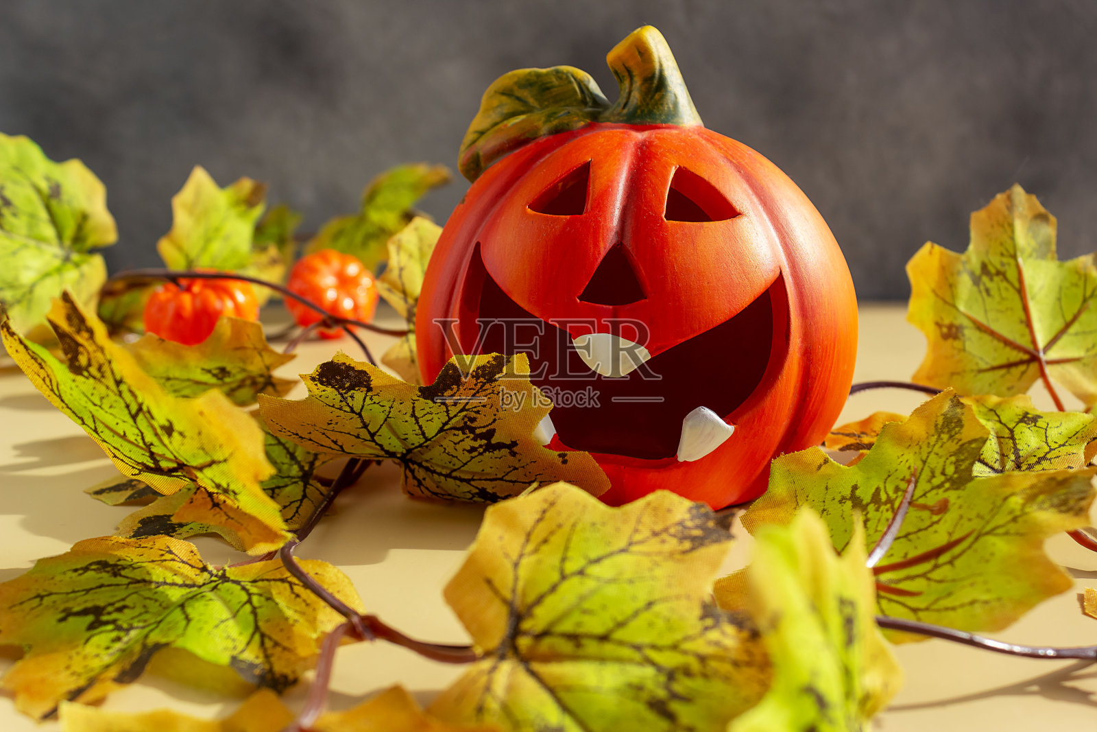 万圣节南瓜在秋天树叶,节日贺卡。照片摄影图片