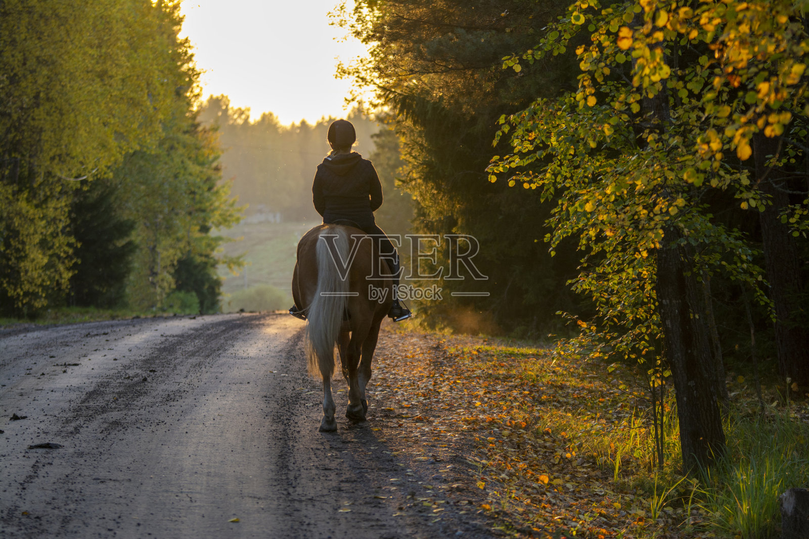 一个女人在乡村小路上骑马照片摄影图片