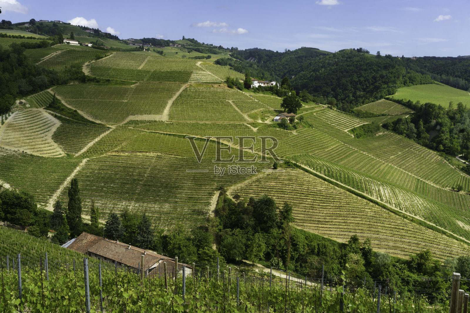 5月,迪亚诺附近,意大利皮埃蒙特的朗赫景观照片摄影图片