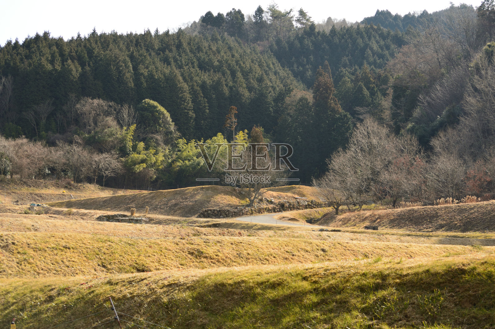 冬日阳光明媚的日本乡村照片摄影图片