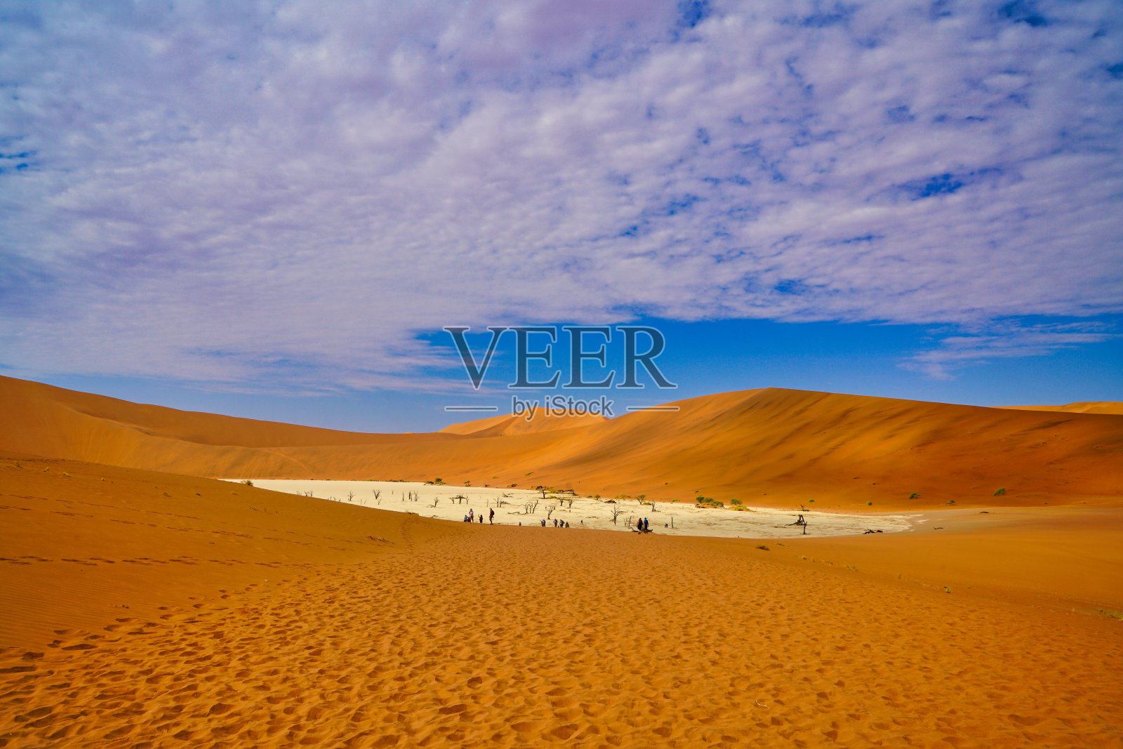 红色的沙漠,枯死的树木,还有在沙丘上徒步旅行的游客。照片摄影图片