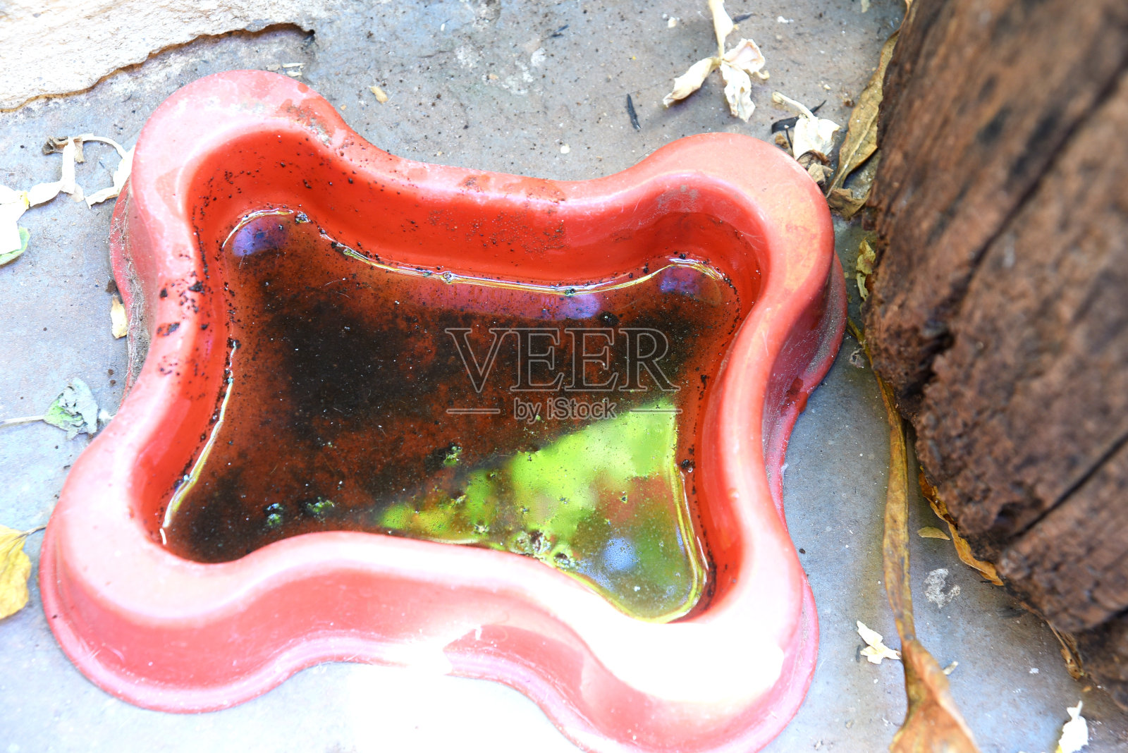 废弃船只内积水,埃及伊蚊幼虫繁殖场所,登革热,基孔肯雅热,寨卡病毒。照片摄影图片