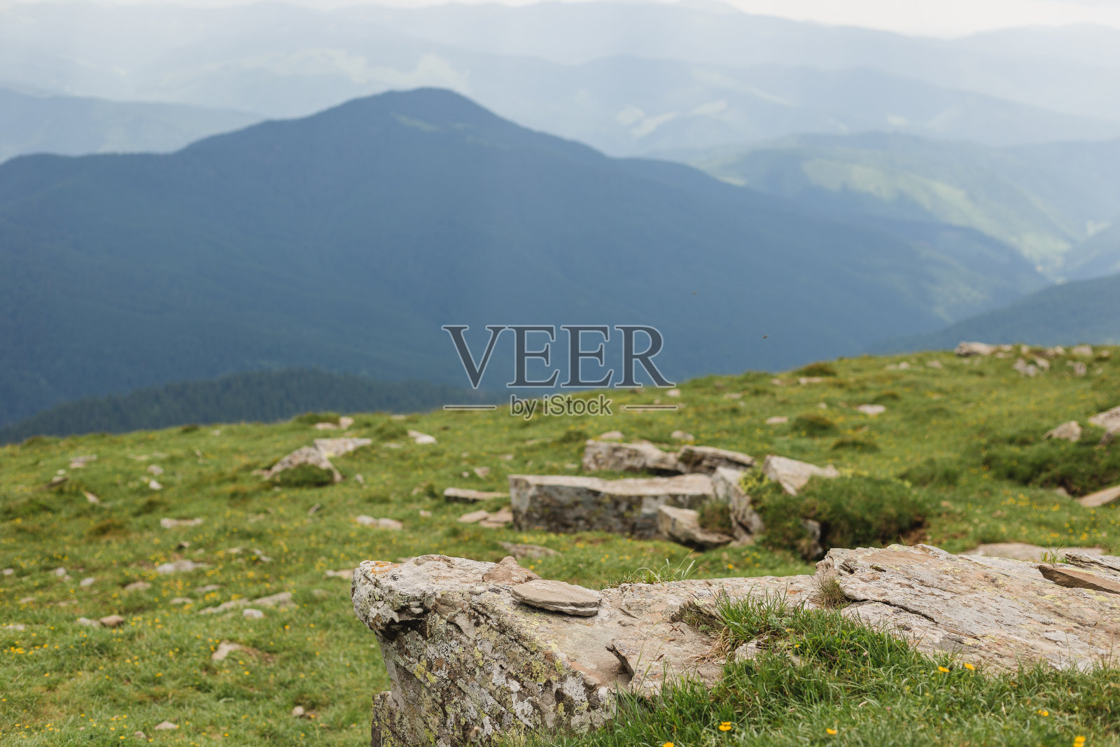 喀尔巴阡山脉的美景尽收眼底。旅游还是自由的概念。野性的自然,夏日的风景。发现地球之美。照片摄影图片