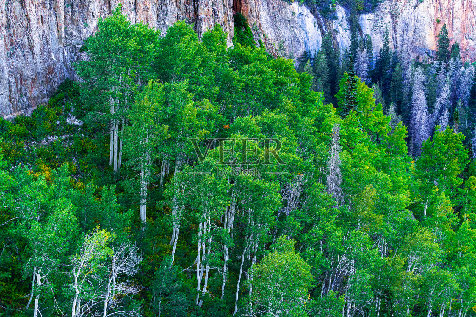 峡谷风景与山脉背景照片摄影图片