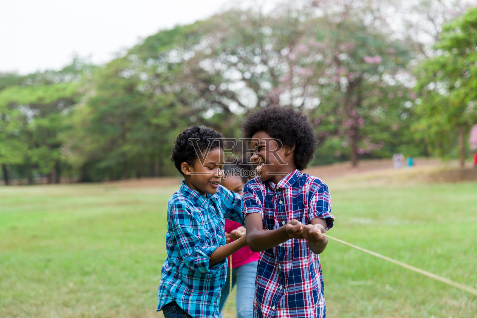 一群非洲裔美国男孩和女孩在公园里一起玩拔河。卷发的孩子们在拔河比赛中嬉戏。黑人孩子和人们玩拔河照片摄影图片