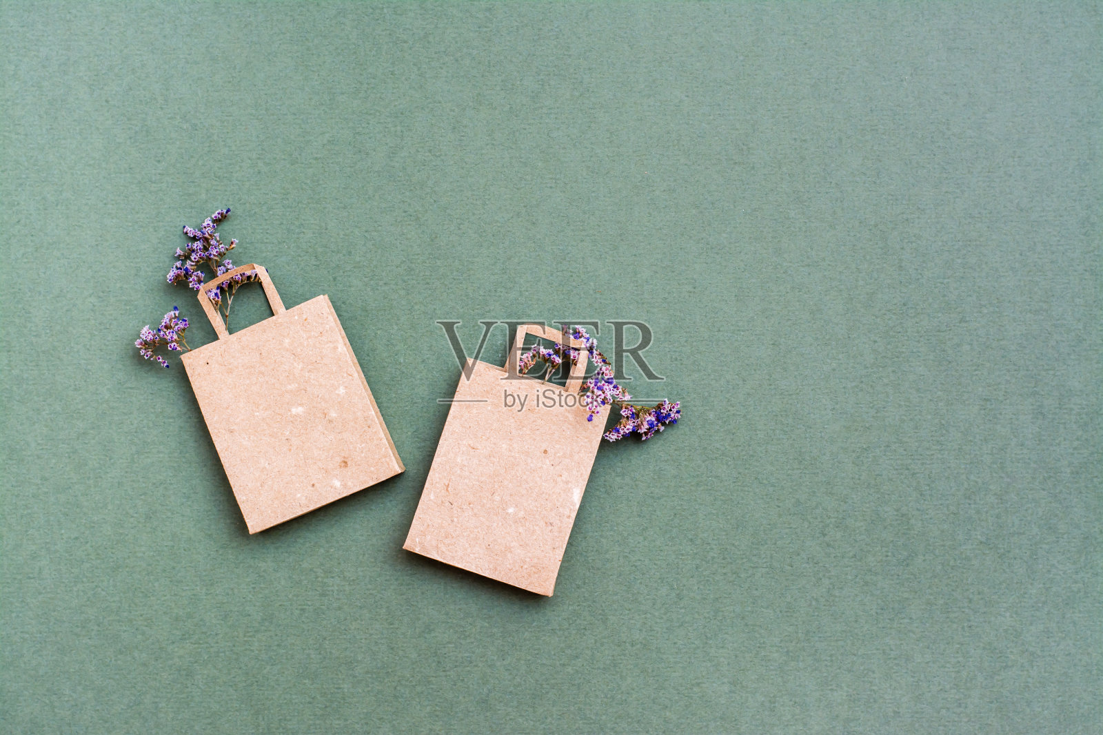 绿色背景上有干花的环保手纸购物袋。黑色星期五礼品大减价。本空间照片摄影图片