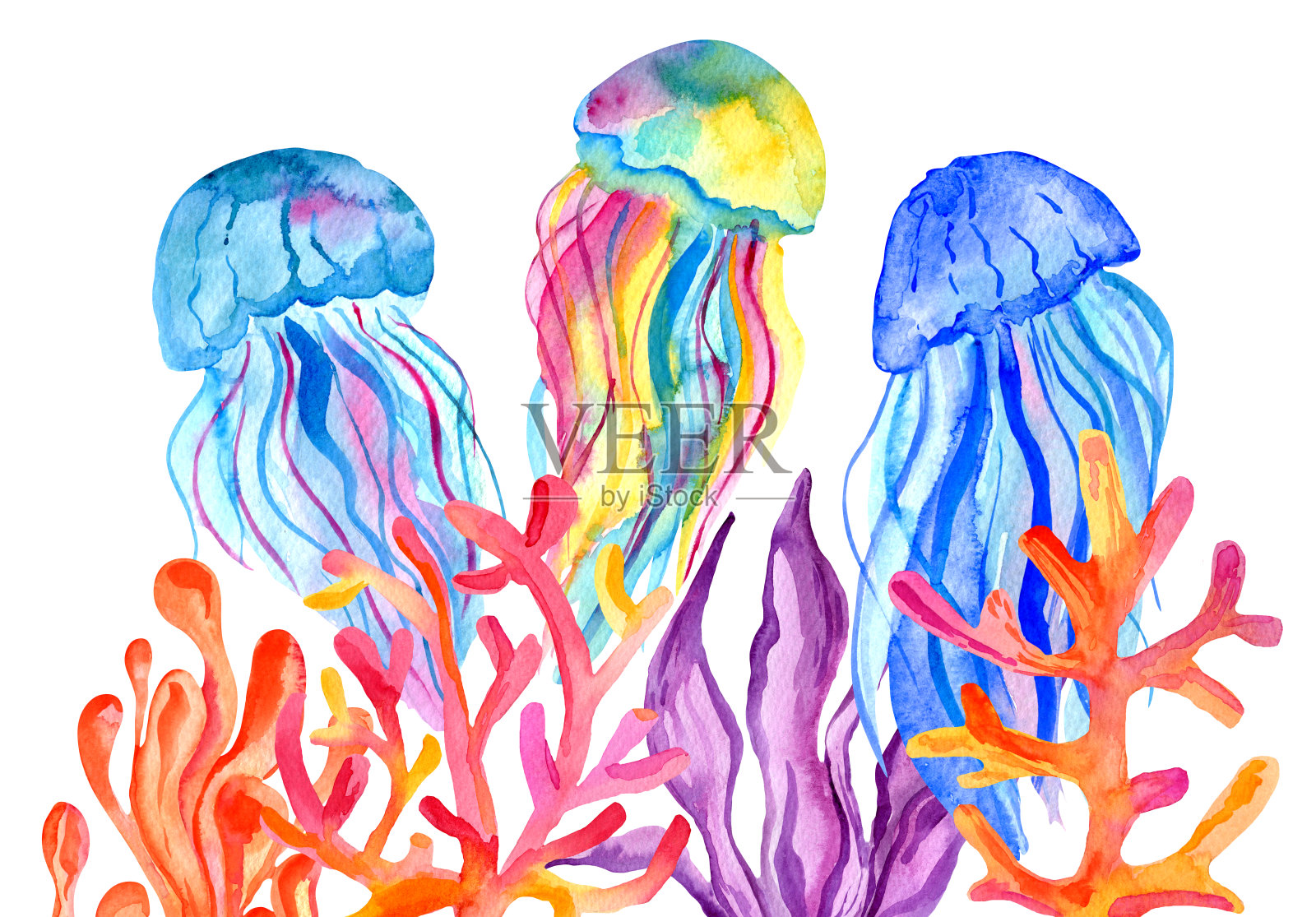 水彩水母,藻类和珊瑚孤立在白色的背景。手绘水下插图。插画图片素材