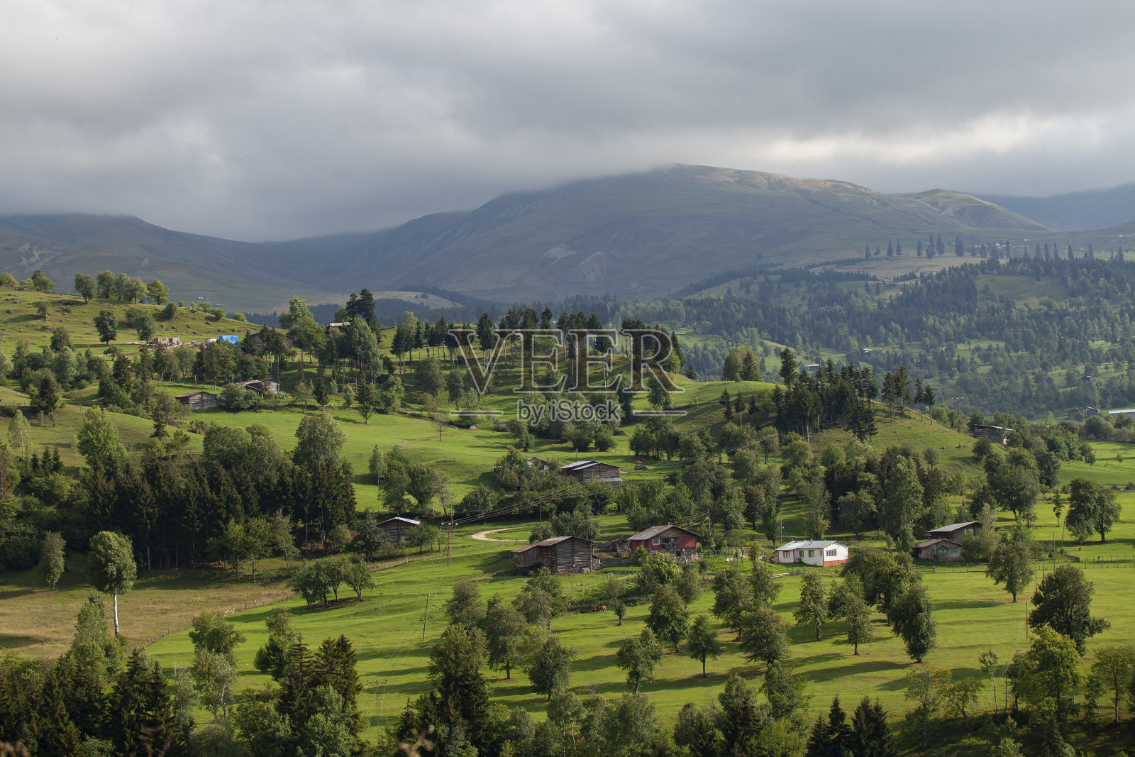 耶拉拉尔照片摄影图片