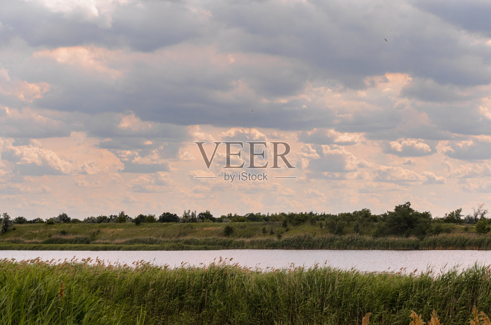 美丽的黄昏河流,芦苇沿着地平线。照片摄影图片