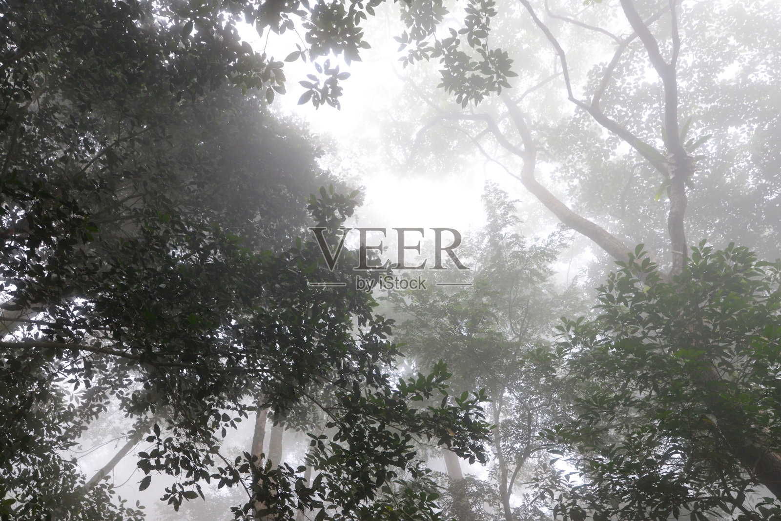 雾山照片摄影图片