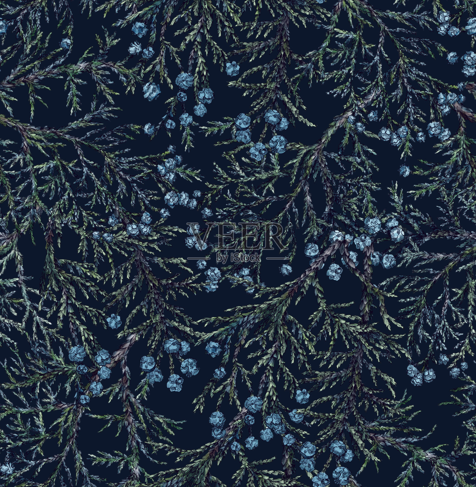 无缝的图案与杜松树枝和浆果。背景有冷杉枝插画图片素材