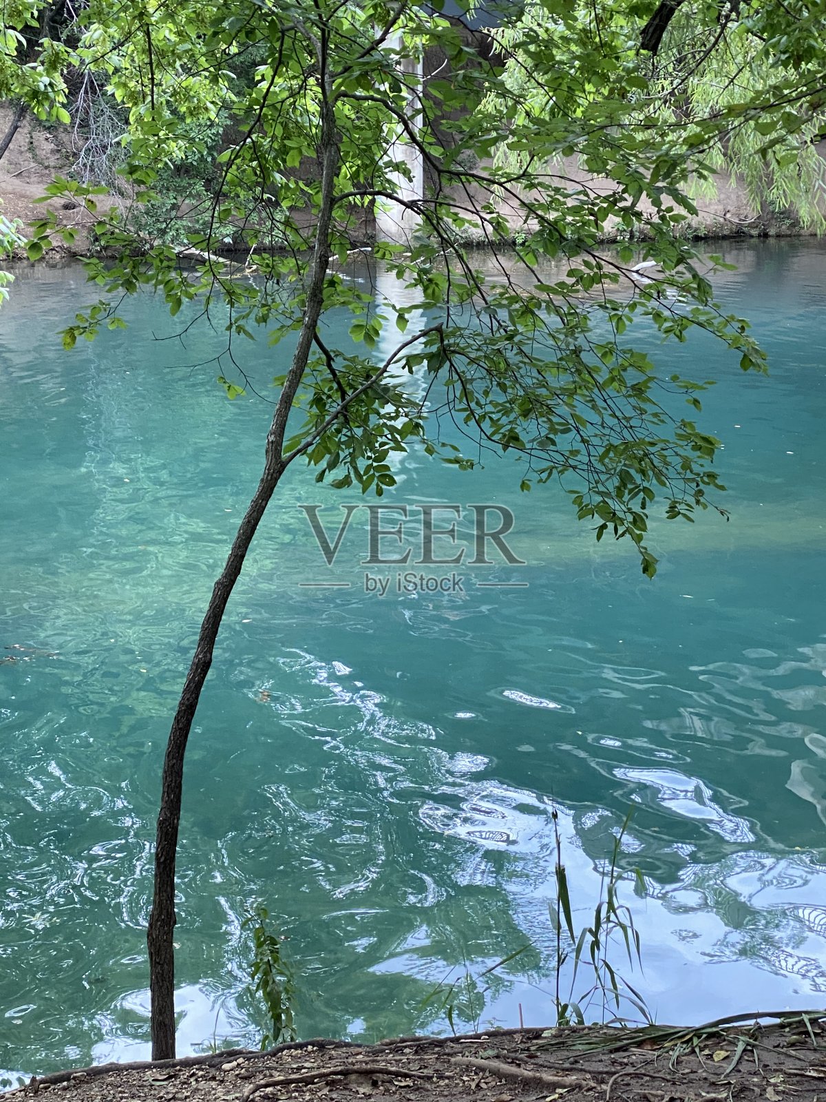 冷静照片摄影图片