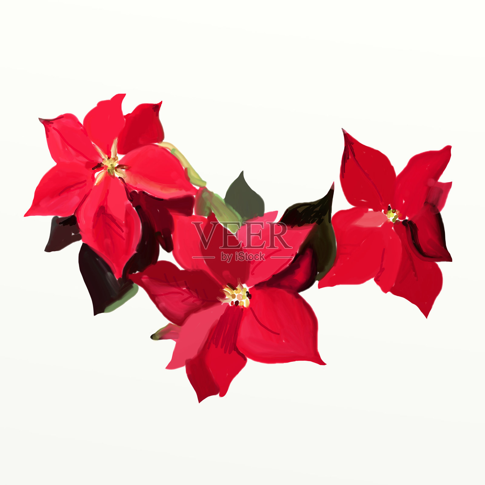 花画插图在白色的背景插画图片素材