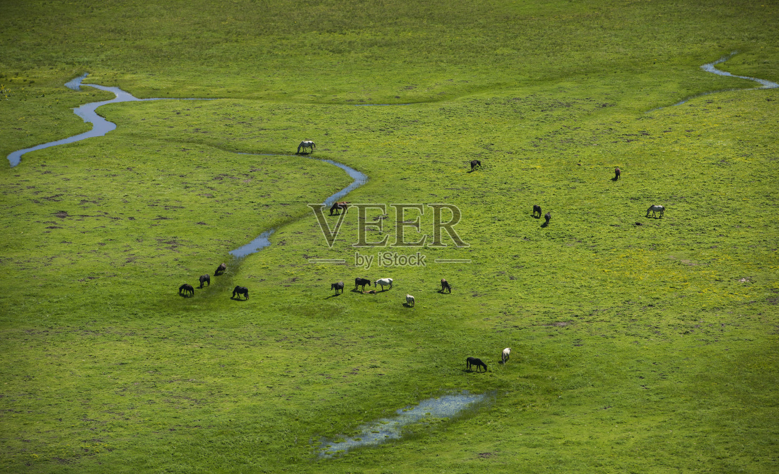 高原风光照片摄影图片