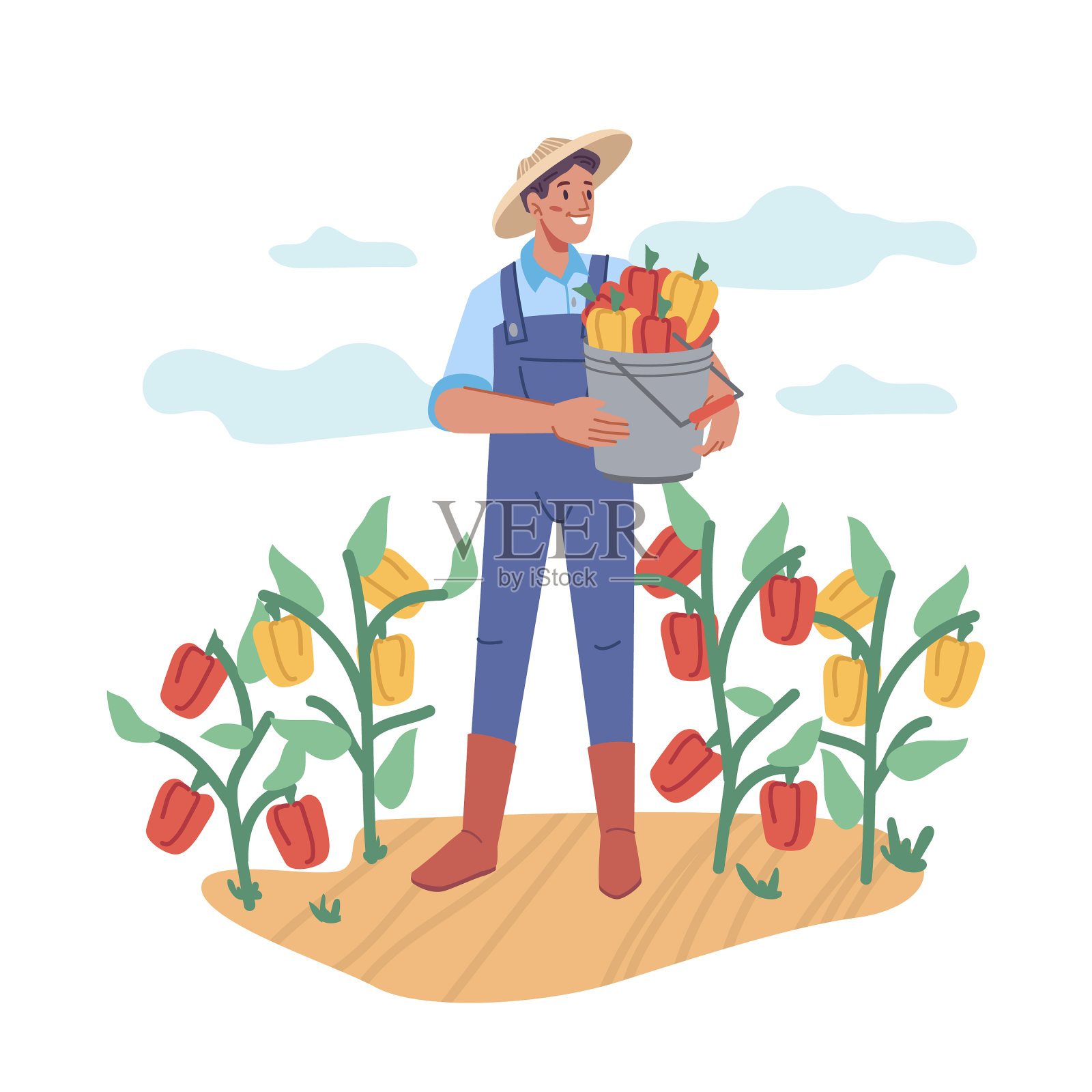 农民用甜椒在地上收割设计元素图片