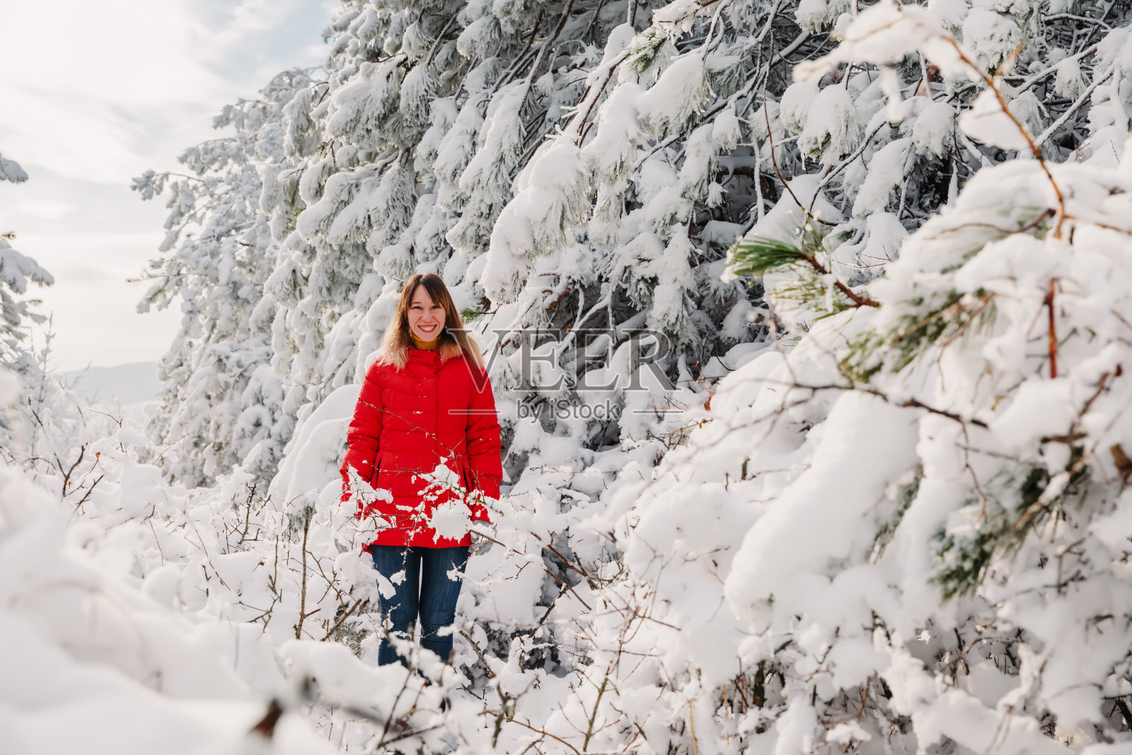 在冬天的森林里,穿着红夹克的女人在白雪皑皑的树林里。12月阳光明媚的日子里,女游客带着雪树照片摄影图片