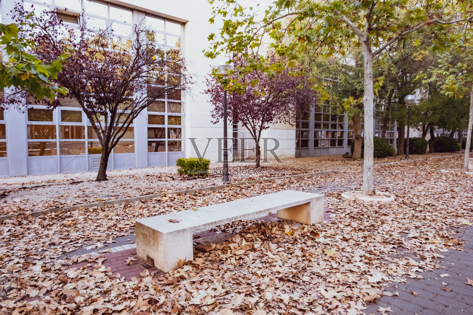 一个冬天的下午,大学里停满了公园照片摄影图片