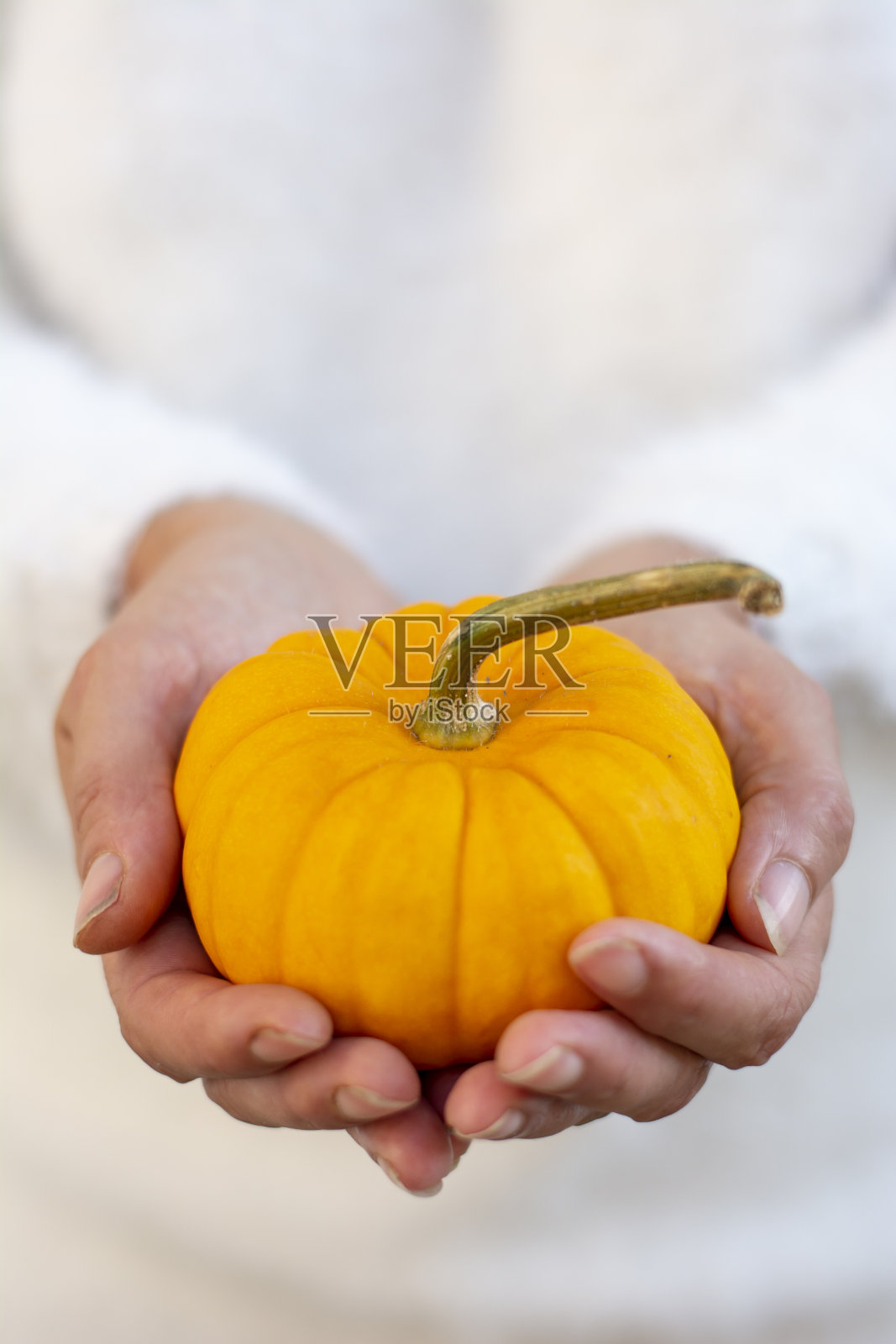 一个陌生的女人手里拿着一个黄色装饰的小南瓜。照片摄影图片