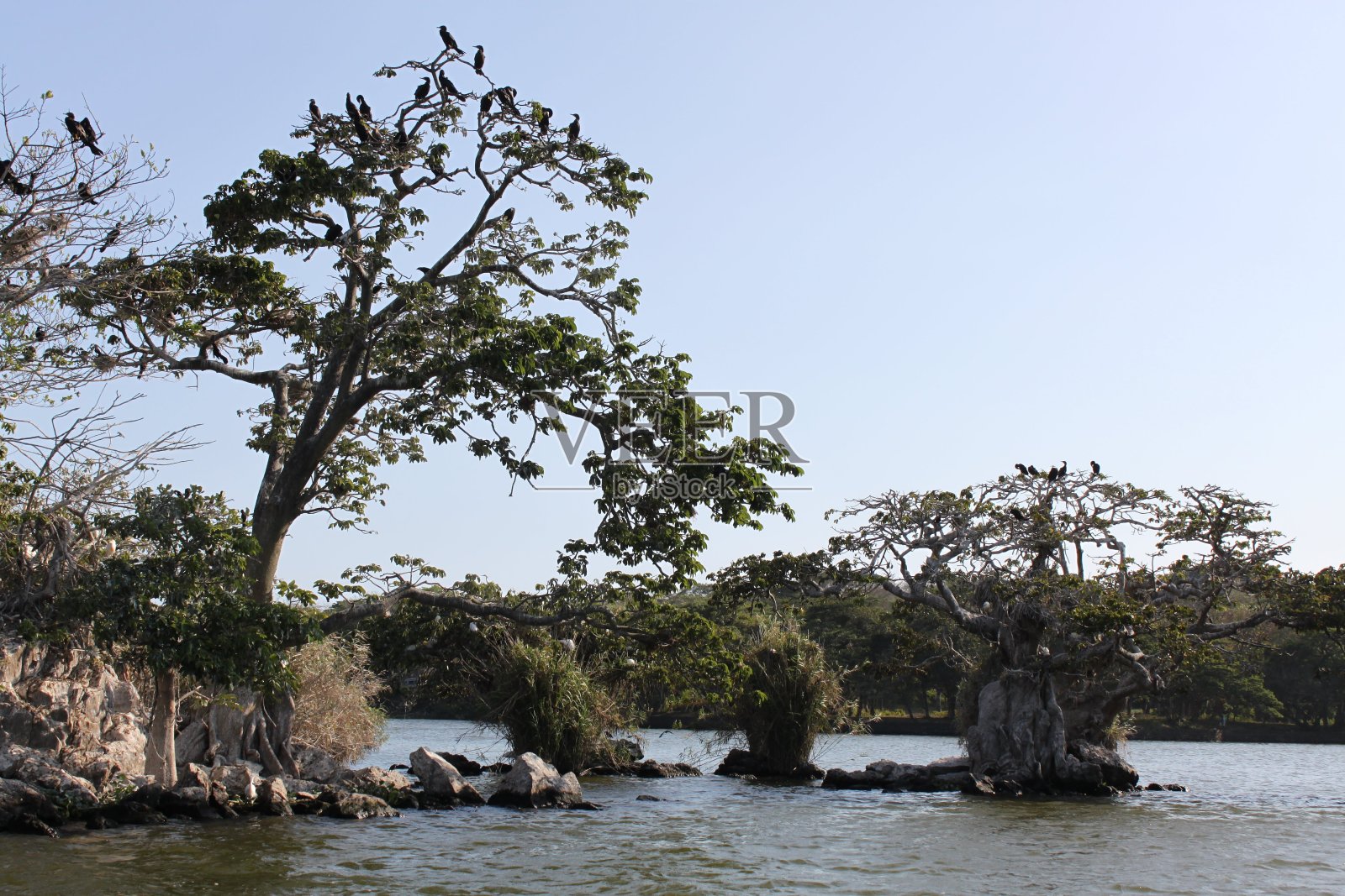 岛照片摄影图片