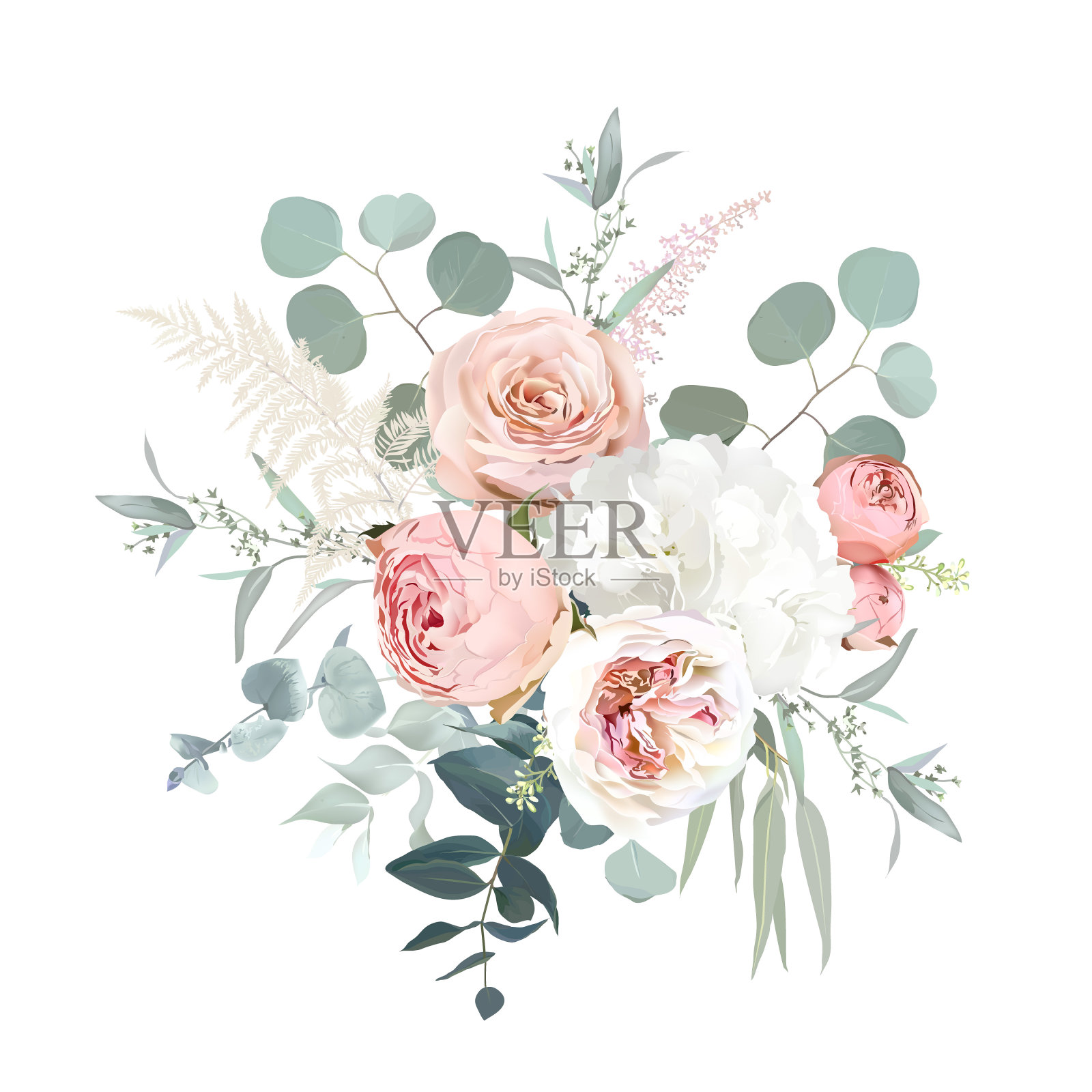 浅粉色花园玫瑰,毛茛,绣球花矢量设计花束插画图片素材