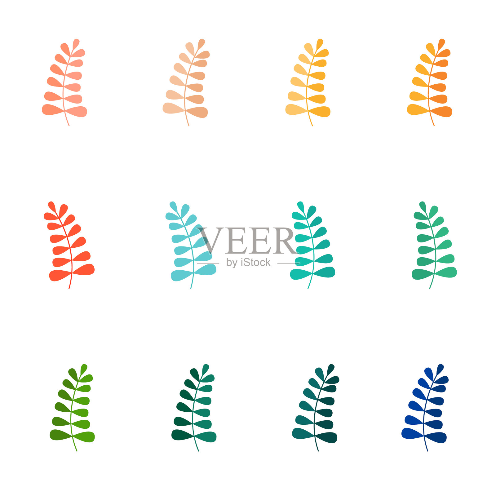 套夏天的热带叶子孤立在白色插画图片素材