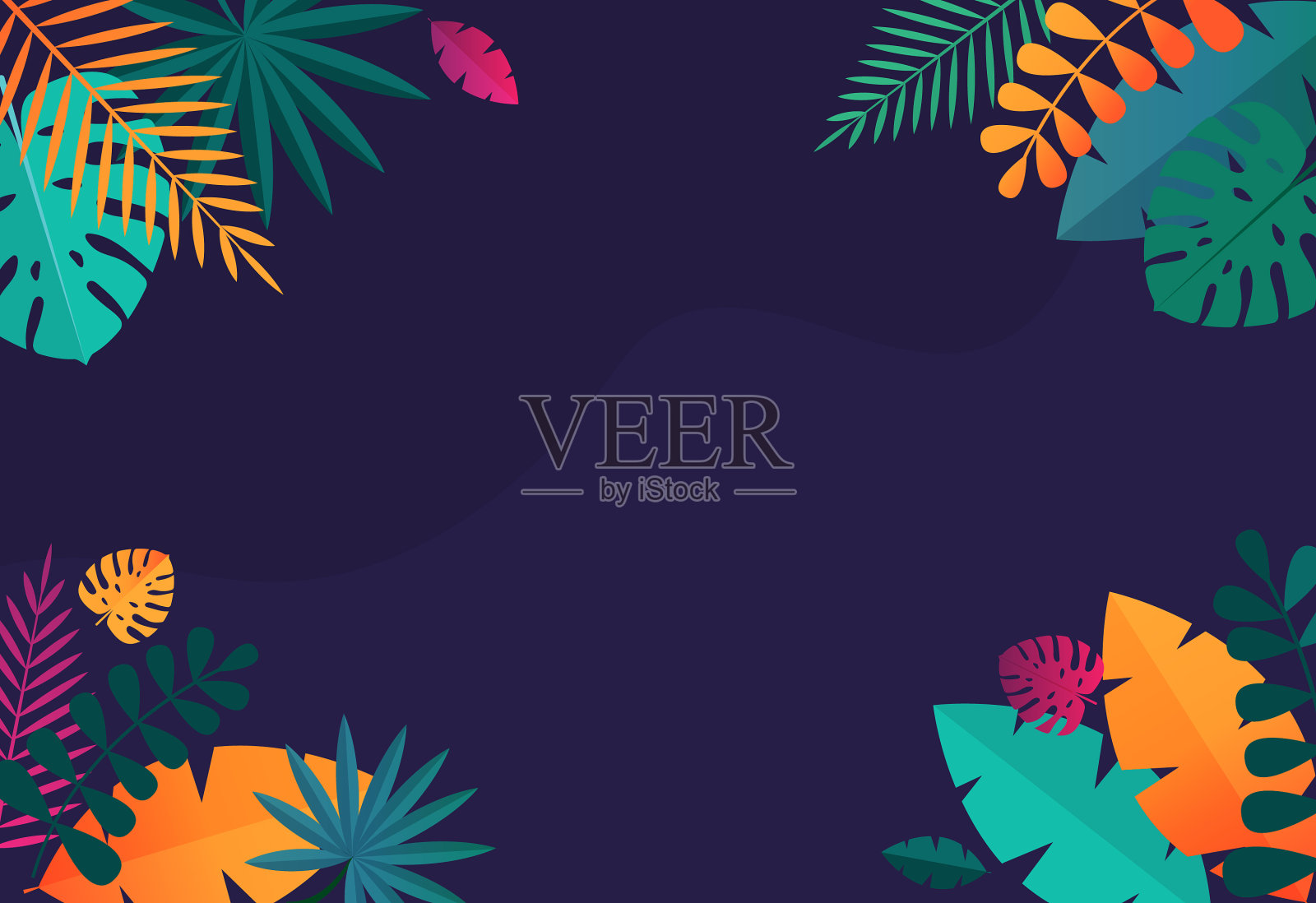 简单的热带棕榈和莫斯特拉叶自然插画图片素材