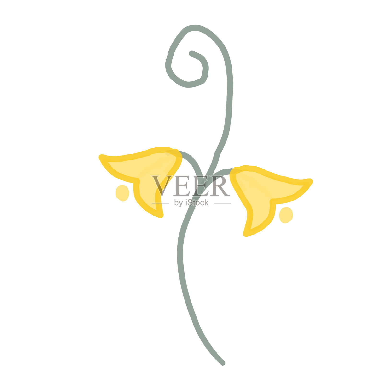 植物插画图片素材