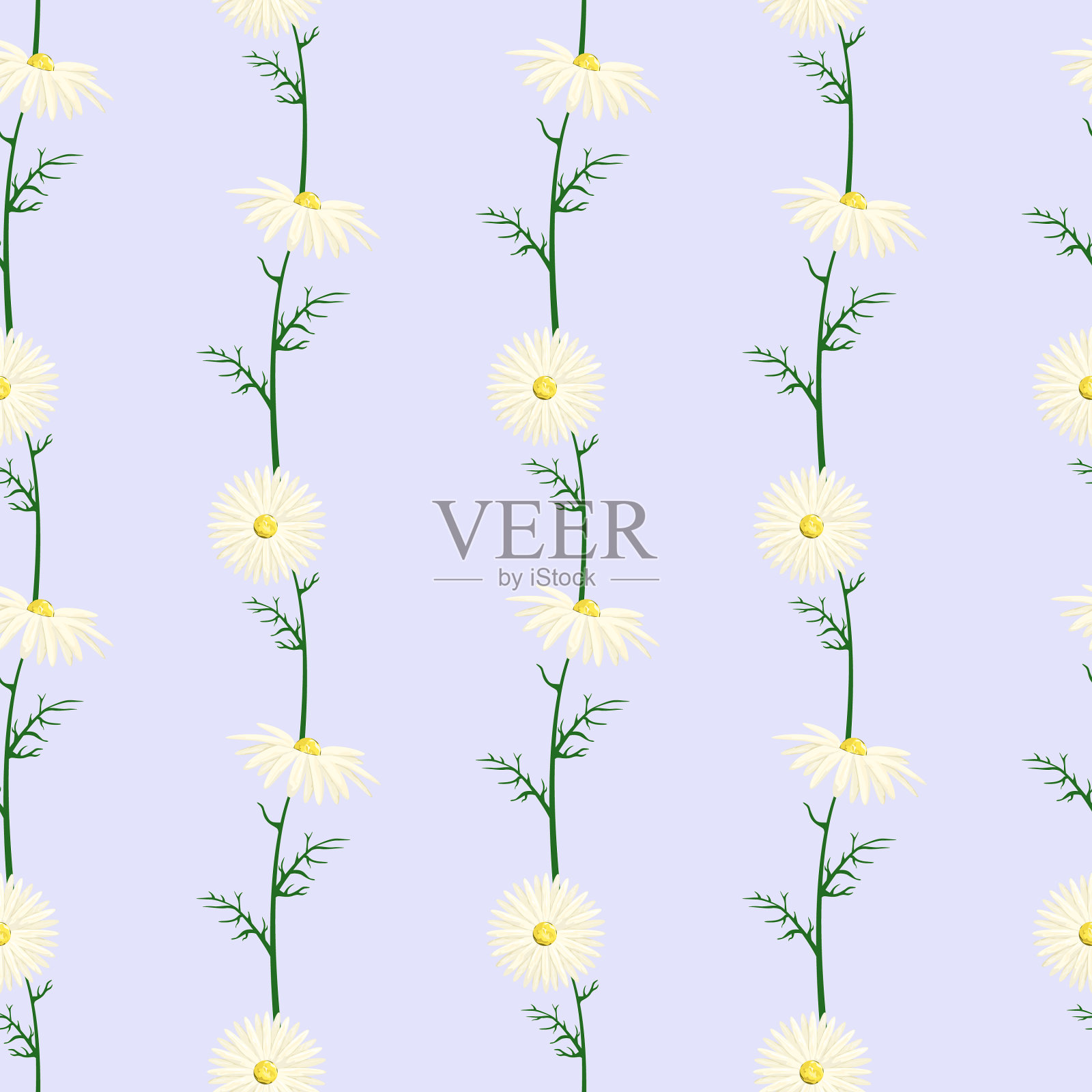 无缝的图案雏菊插画图片素材
