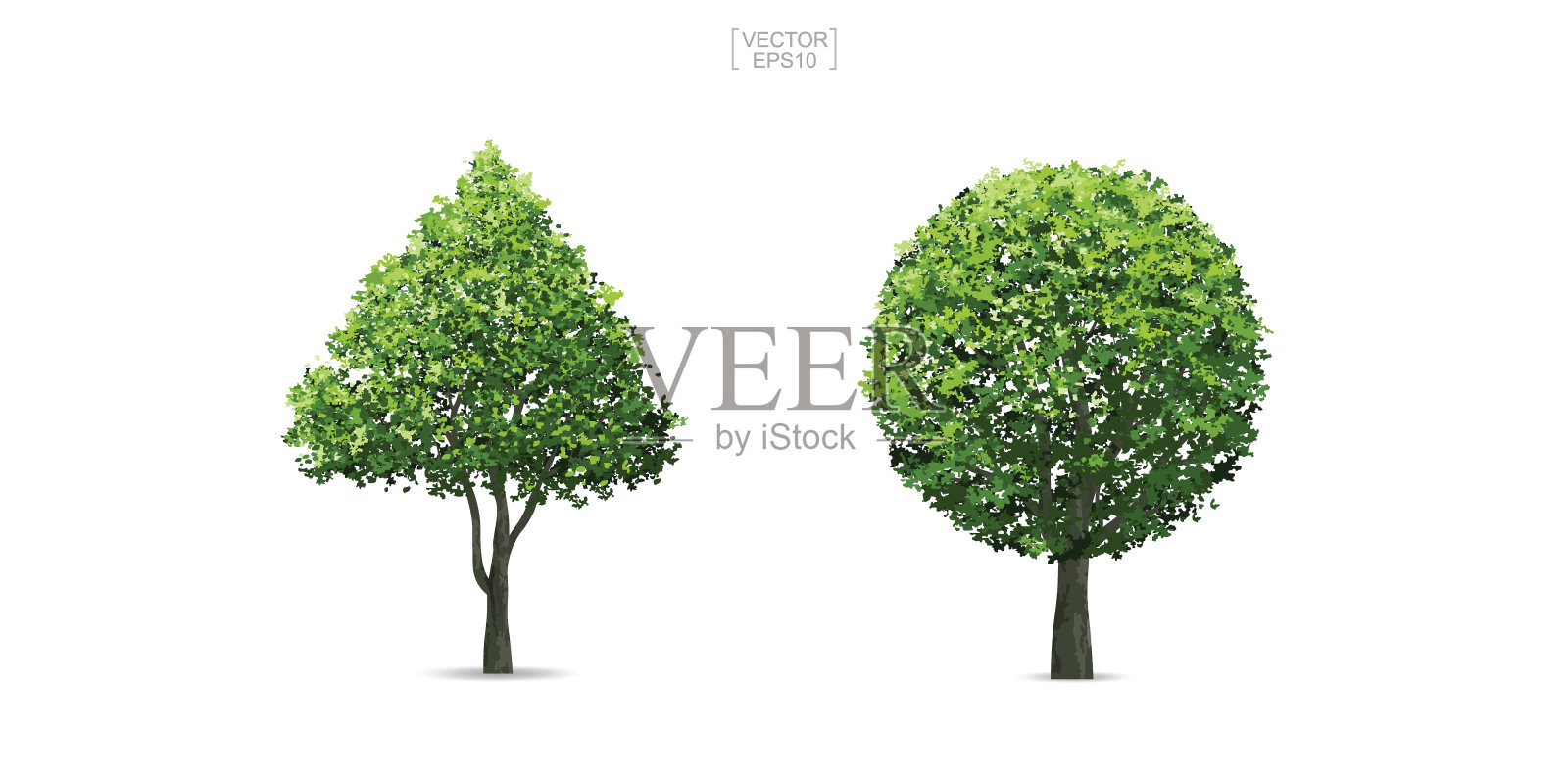 在白色背景上隔离的树的收集。插画图片素材