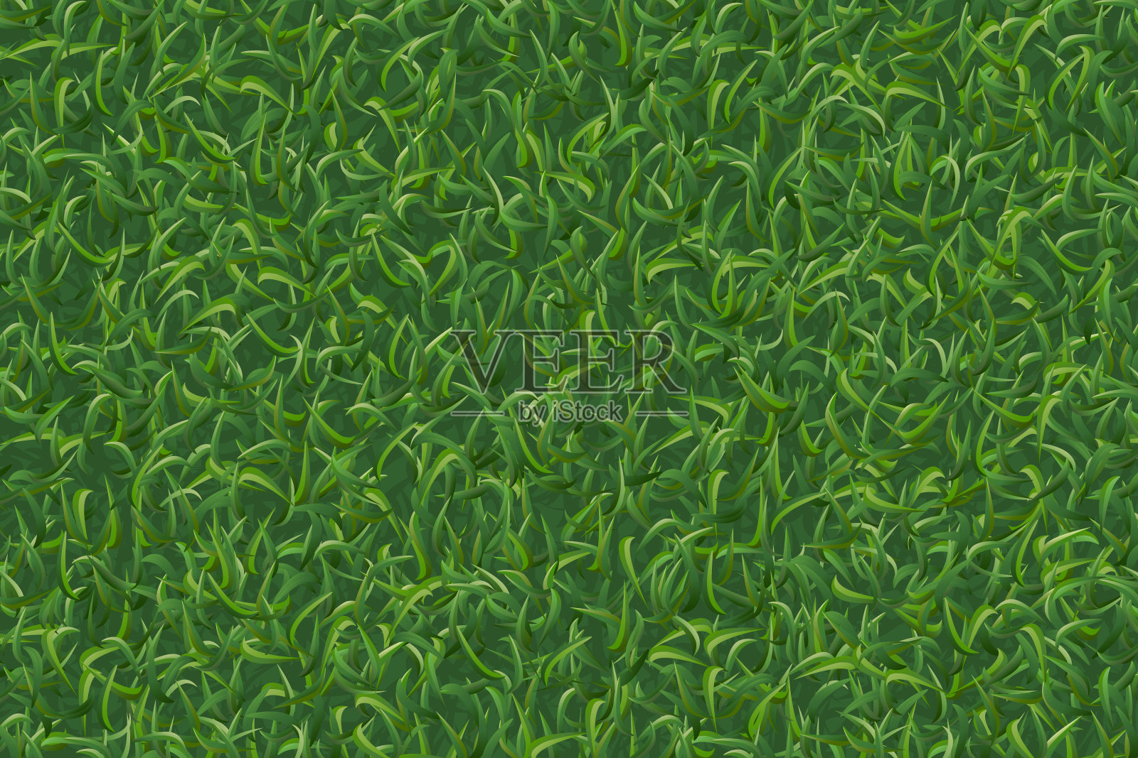 草坪草图案和纹理为背景。插画图片素材