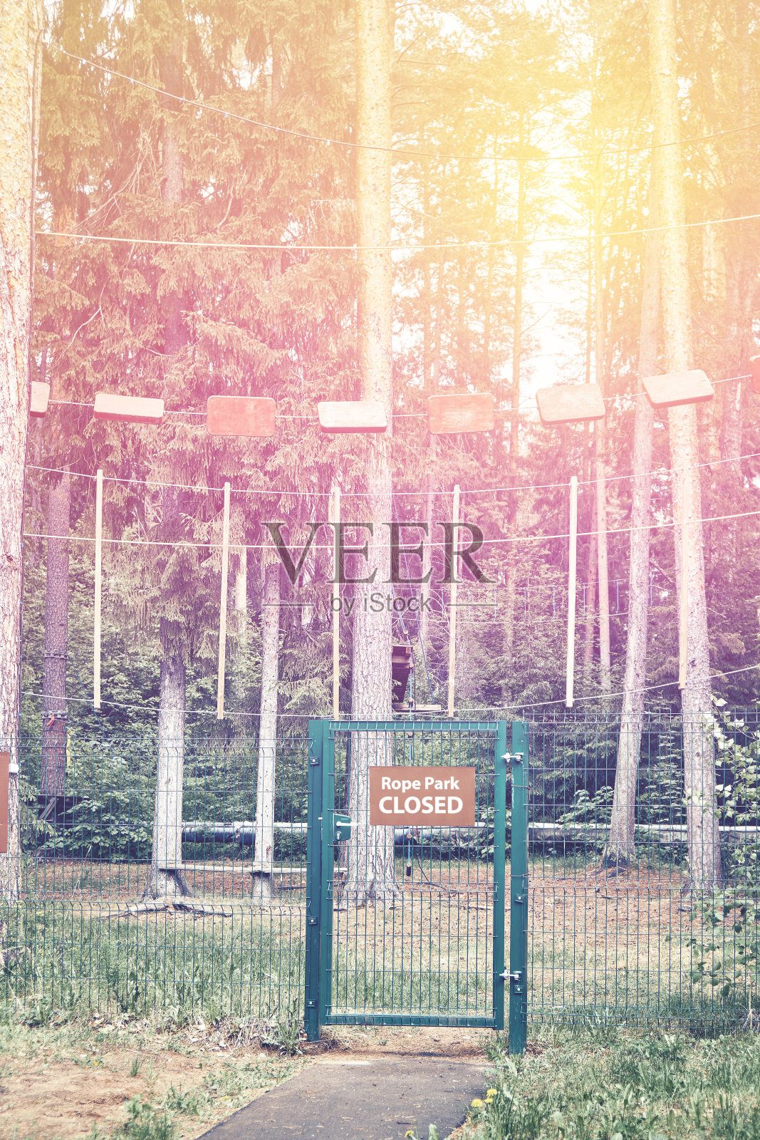 绳索公园,松林上有高高的绳索,围栏紧闭。健美的形象照片摄影图片