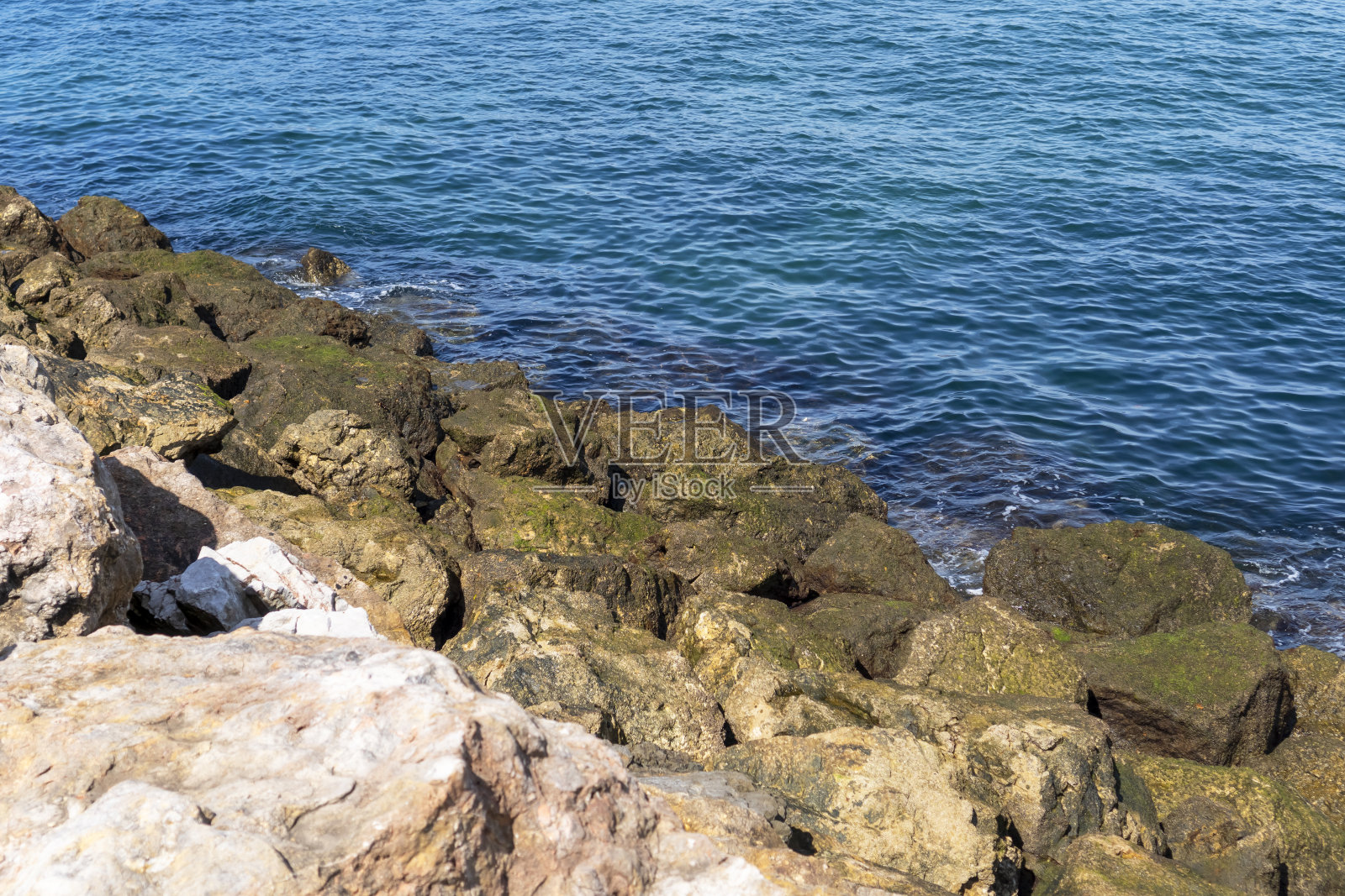 的海滨。海边有石头和苔藓照片摄影图片