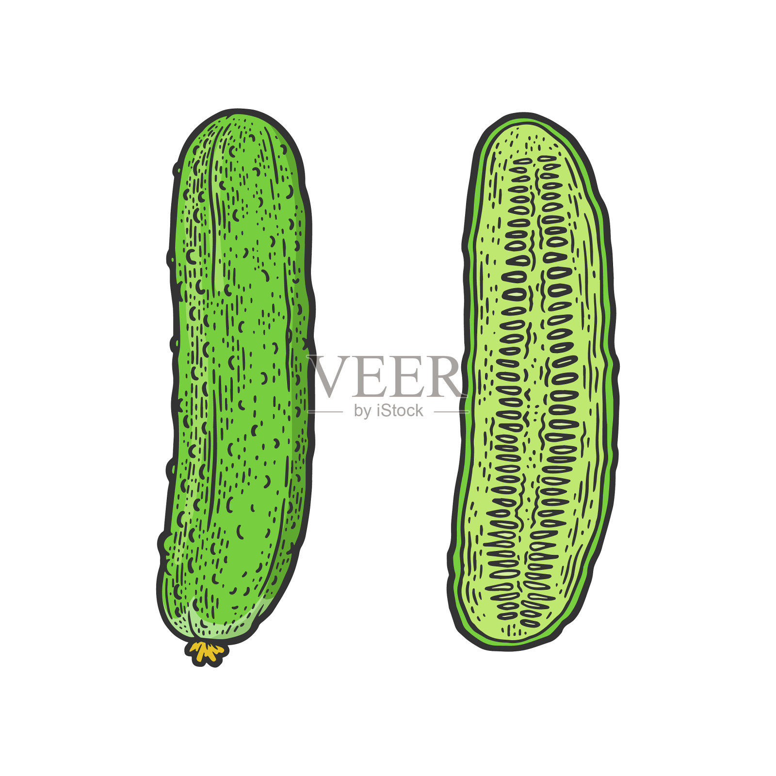 黄瓜蔬菜草图插画图片素材