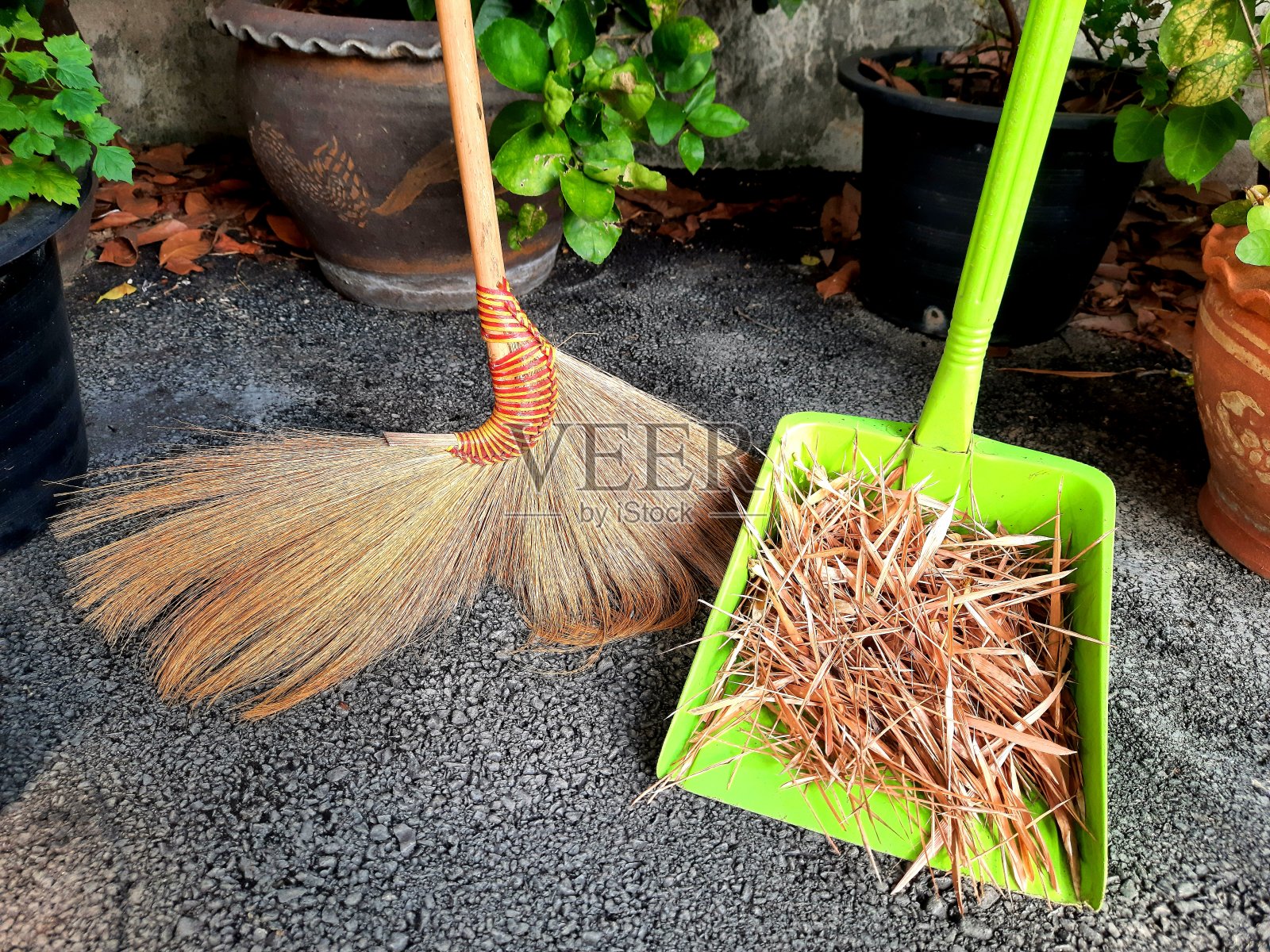 用扫帚和簸箕扫叶。照片摄影图片