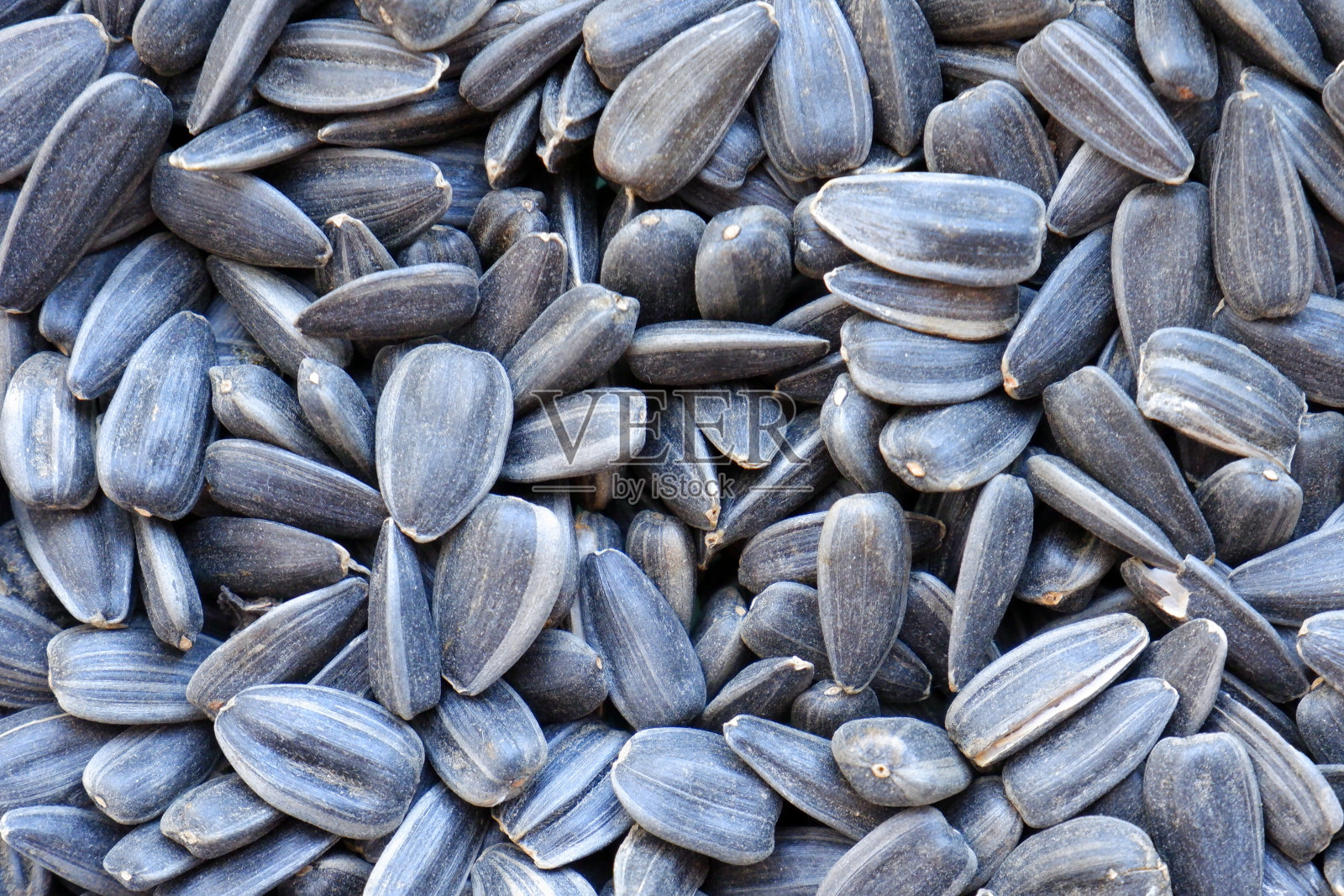 向日葵的种子照片摄影图片