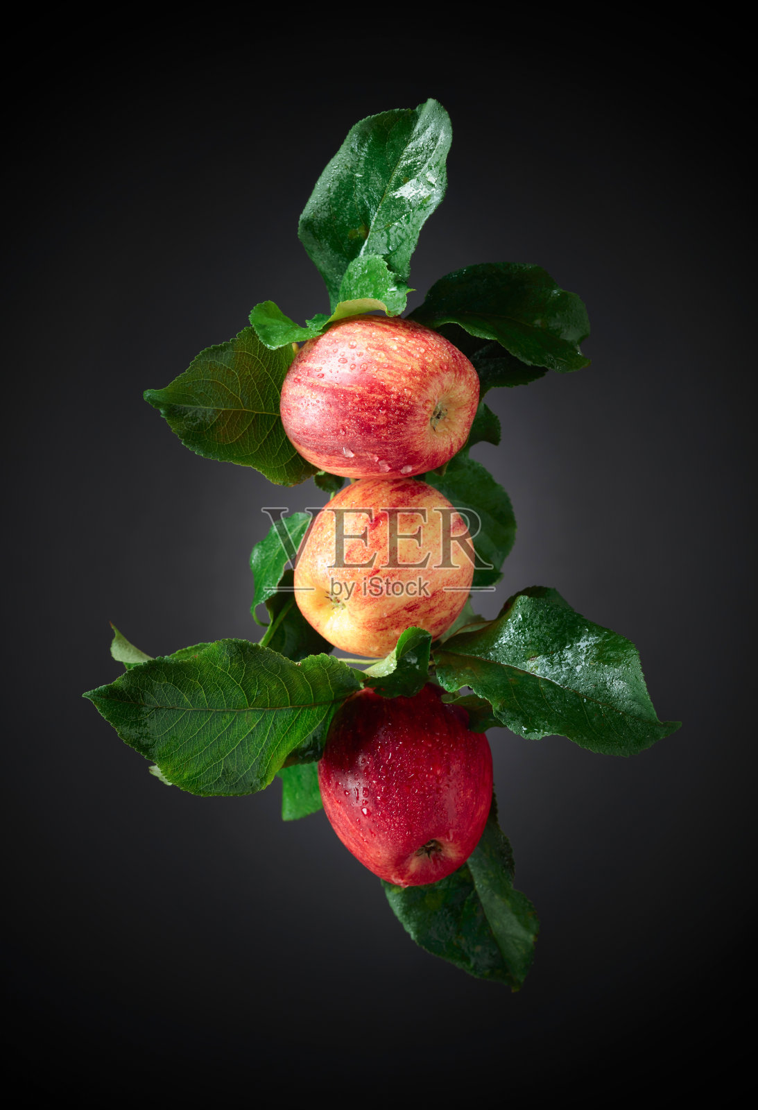 在黑色背景上滴着水的新鲜苹果。照片摄影图片
