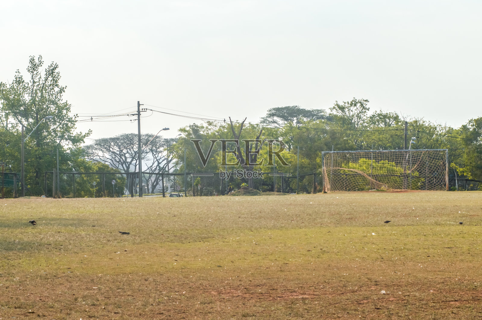 足球场横梁,足球网和复制空间,日光照片摄影图片