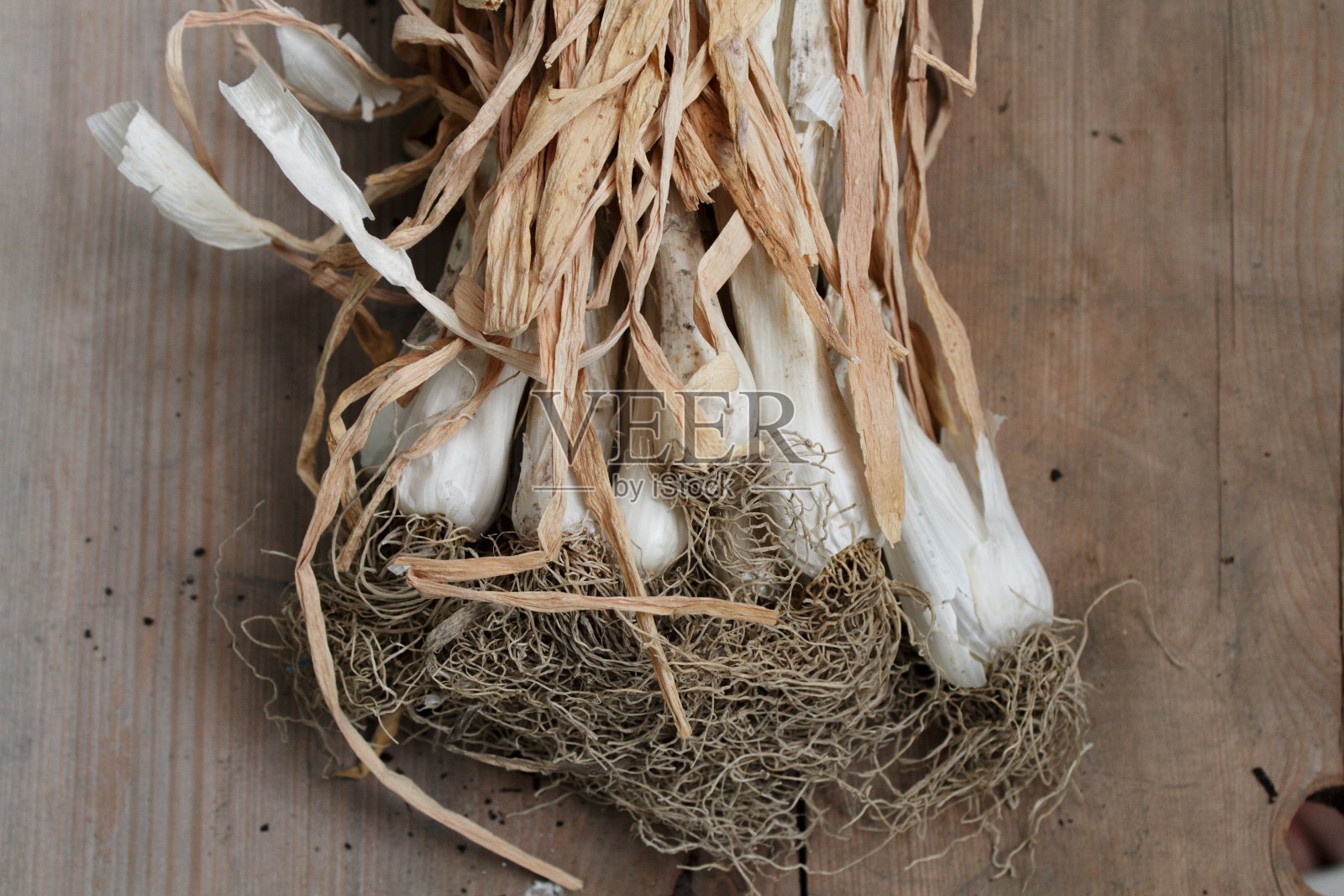 干葱照片摄影图片