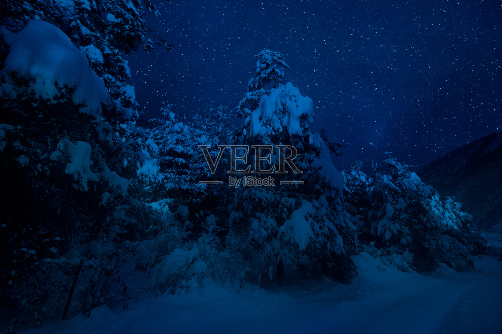 月圆之夜,山路穿过白雪覆盖的森林。夜景冬季景观深蓝色的天空与月亮和星星照片摄影图片